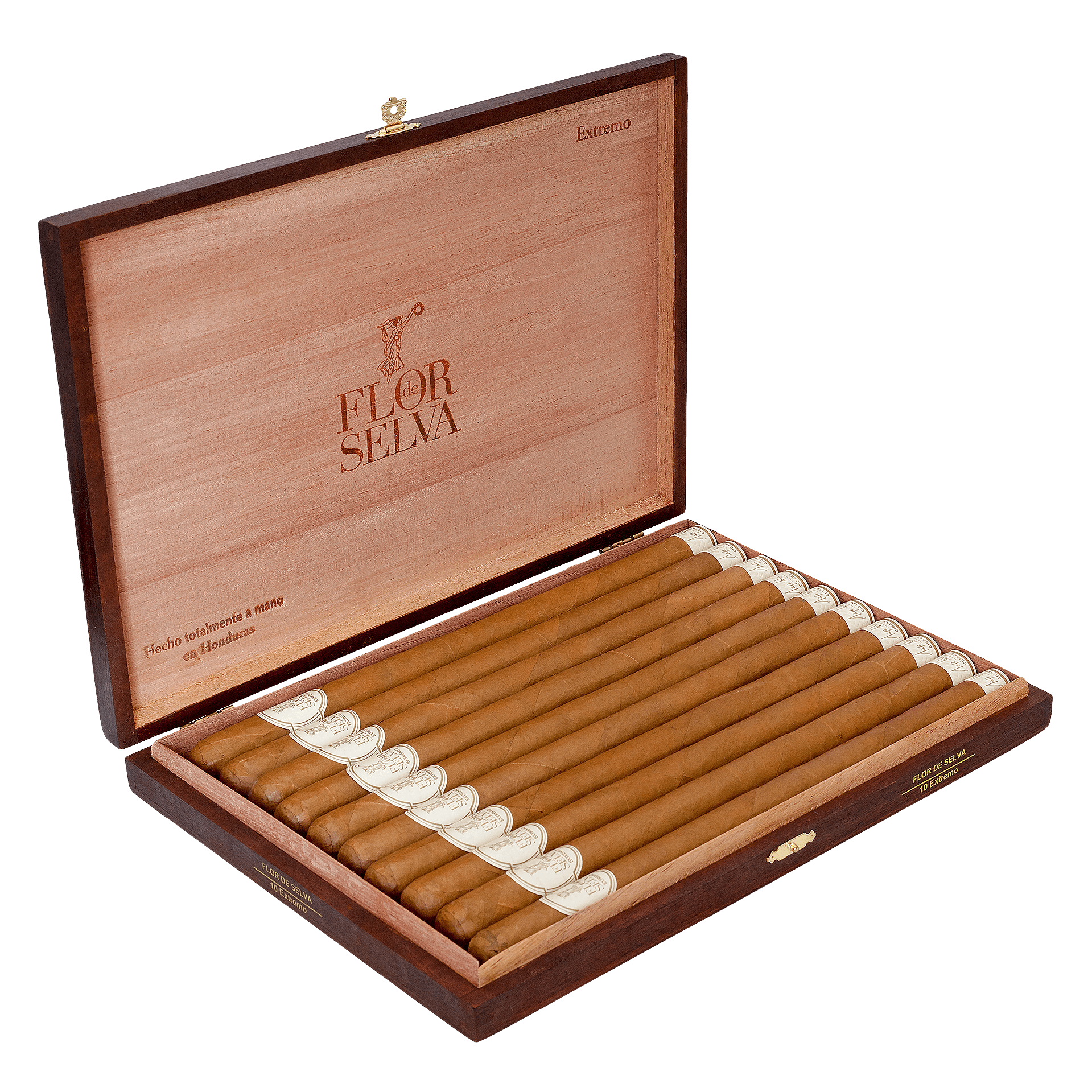 Flor de Selva Extremo – Bild 6