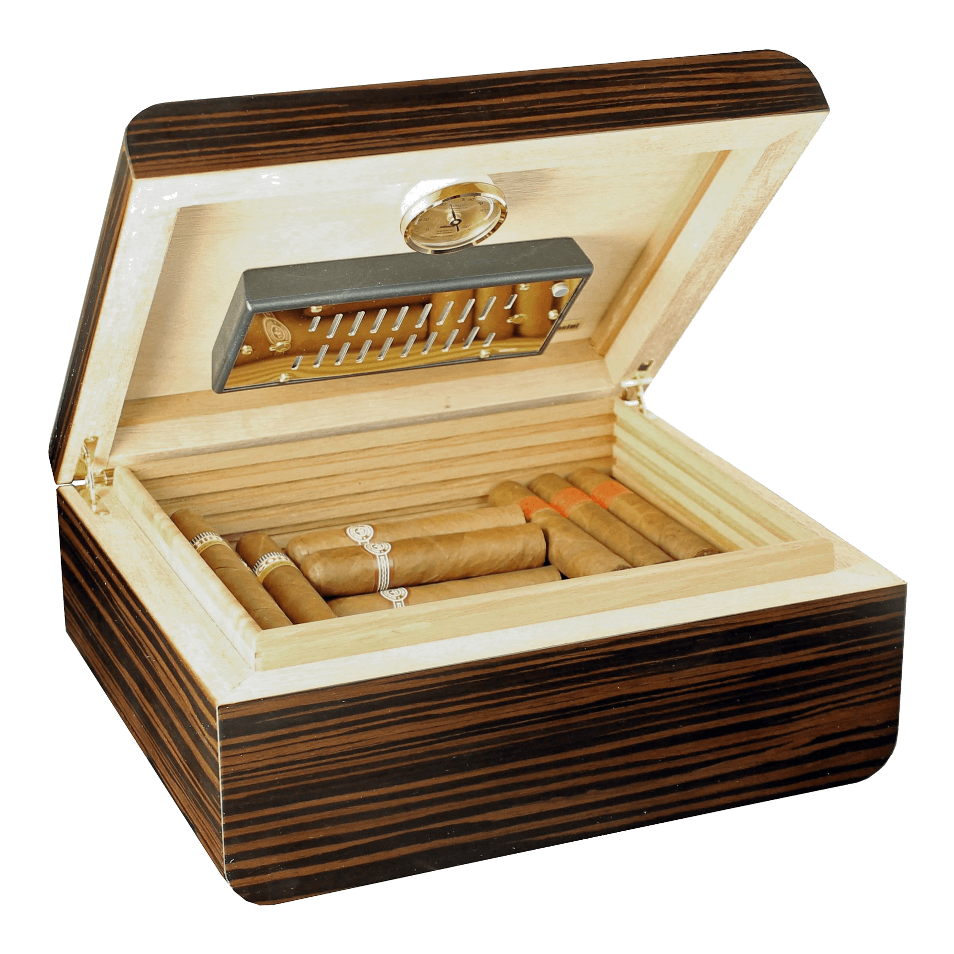 Adorini Novara Deluxe M