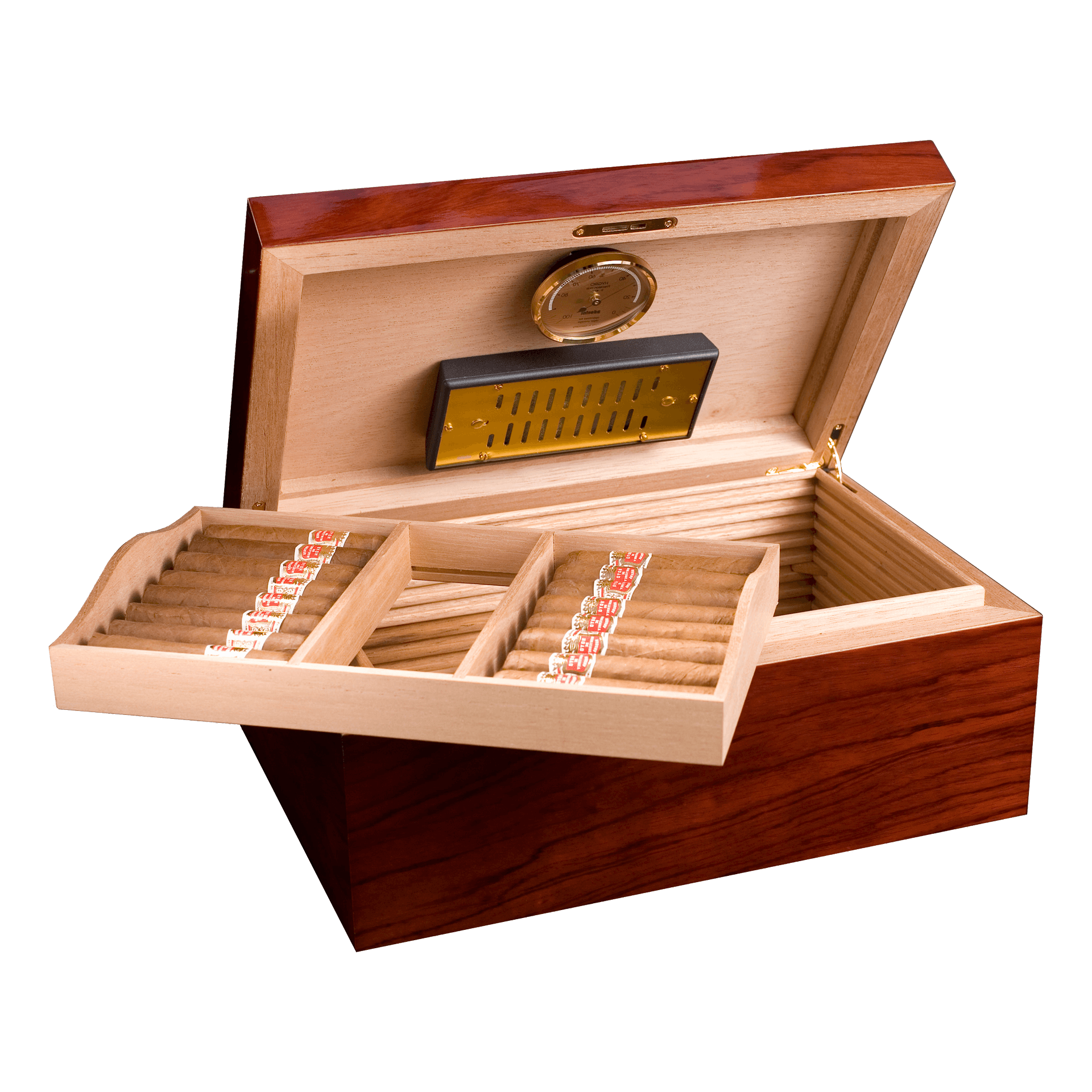 Adorini Santiago Deluxe