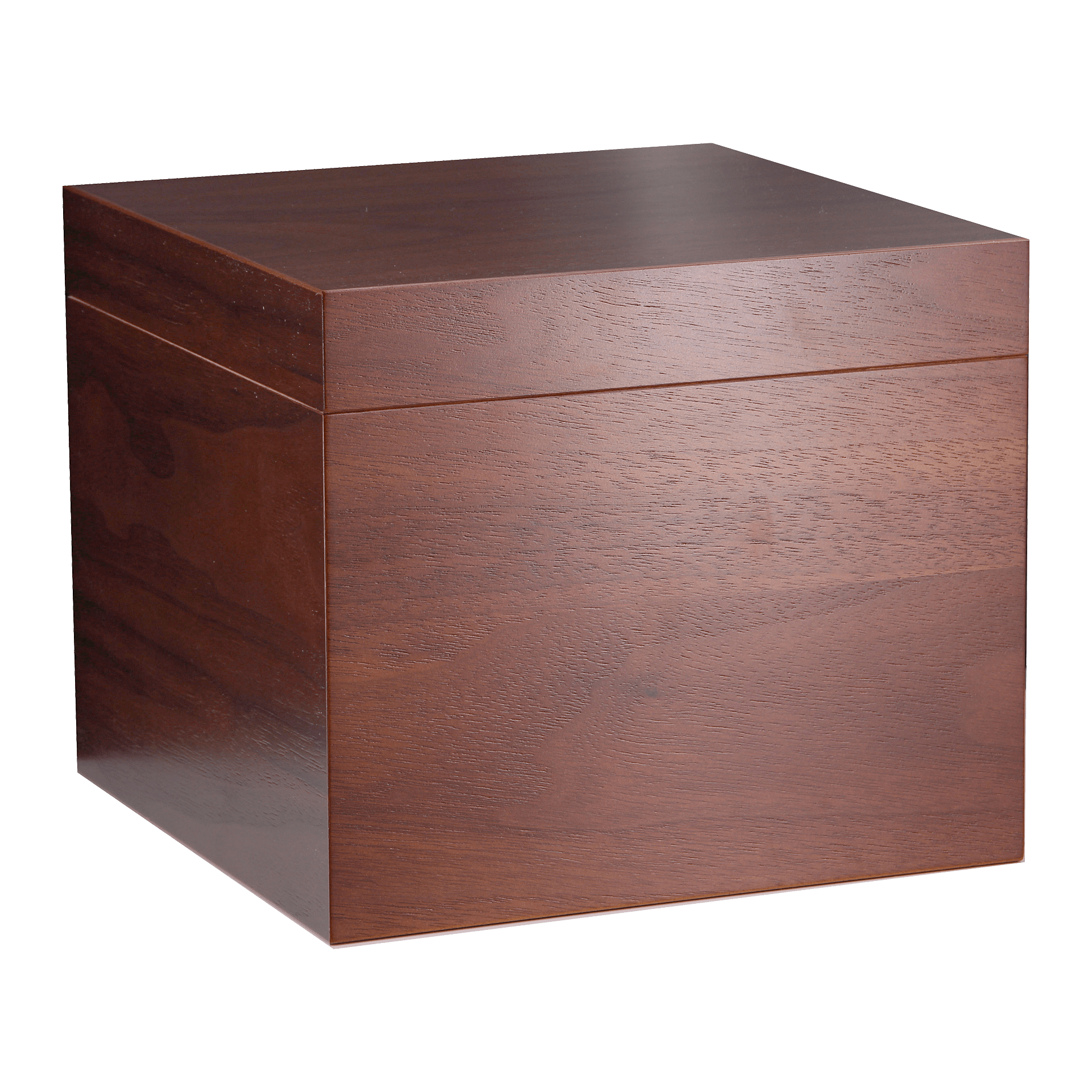 Adorini Vedado 64 Walnuss Deluxe – Bild 2