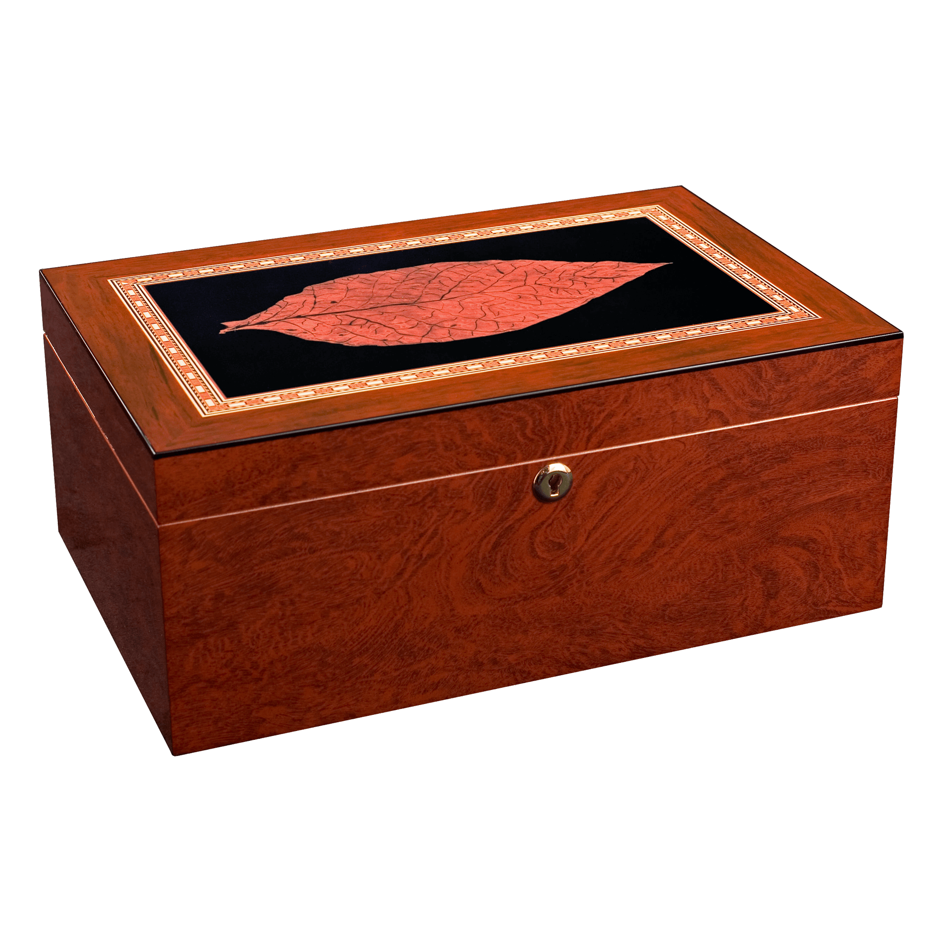 Adorini Venezia Deluxe L – Bild 2