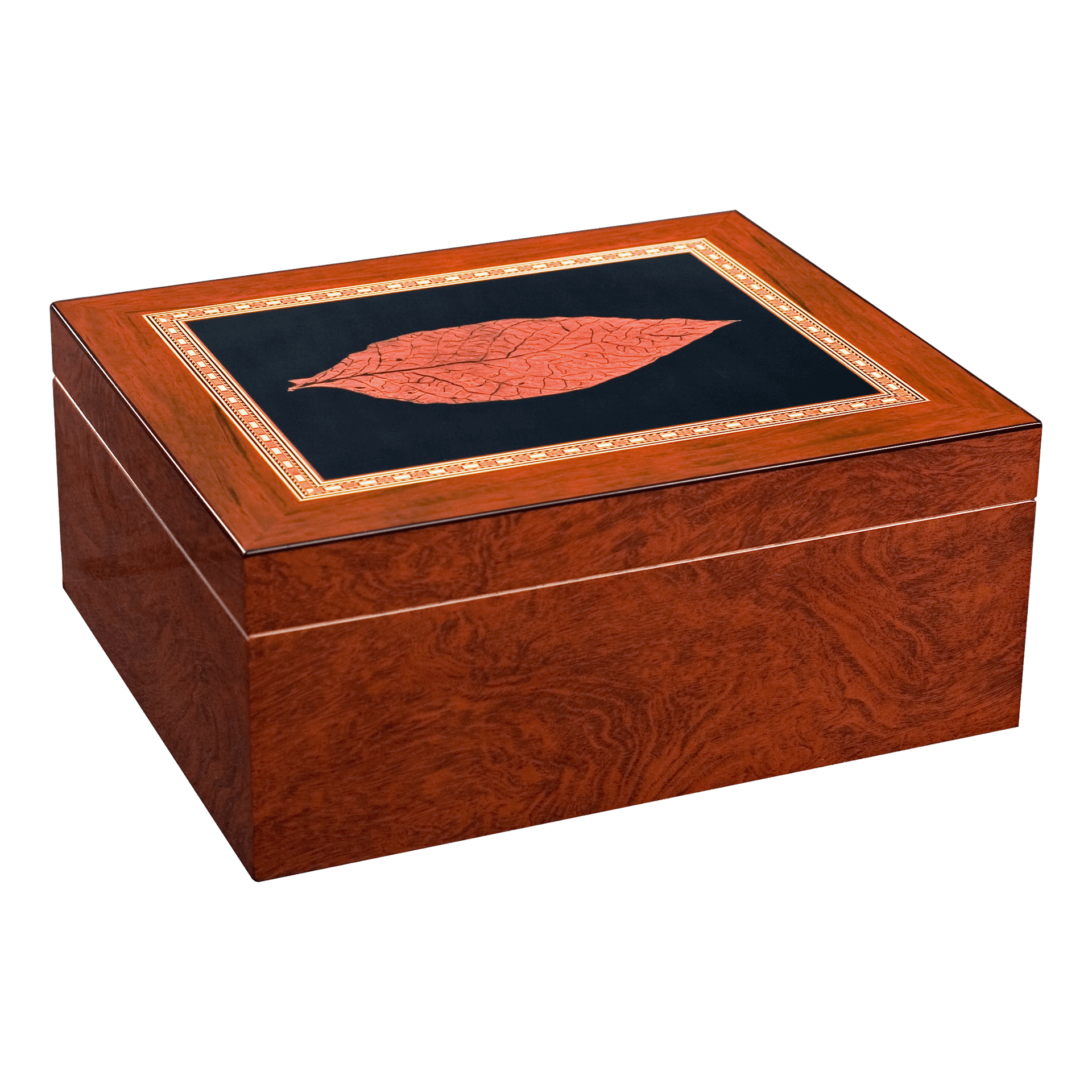 Adorini Venezia Deluxe M – Bild 2