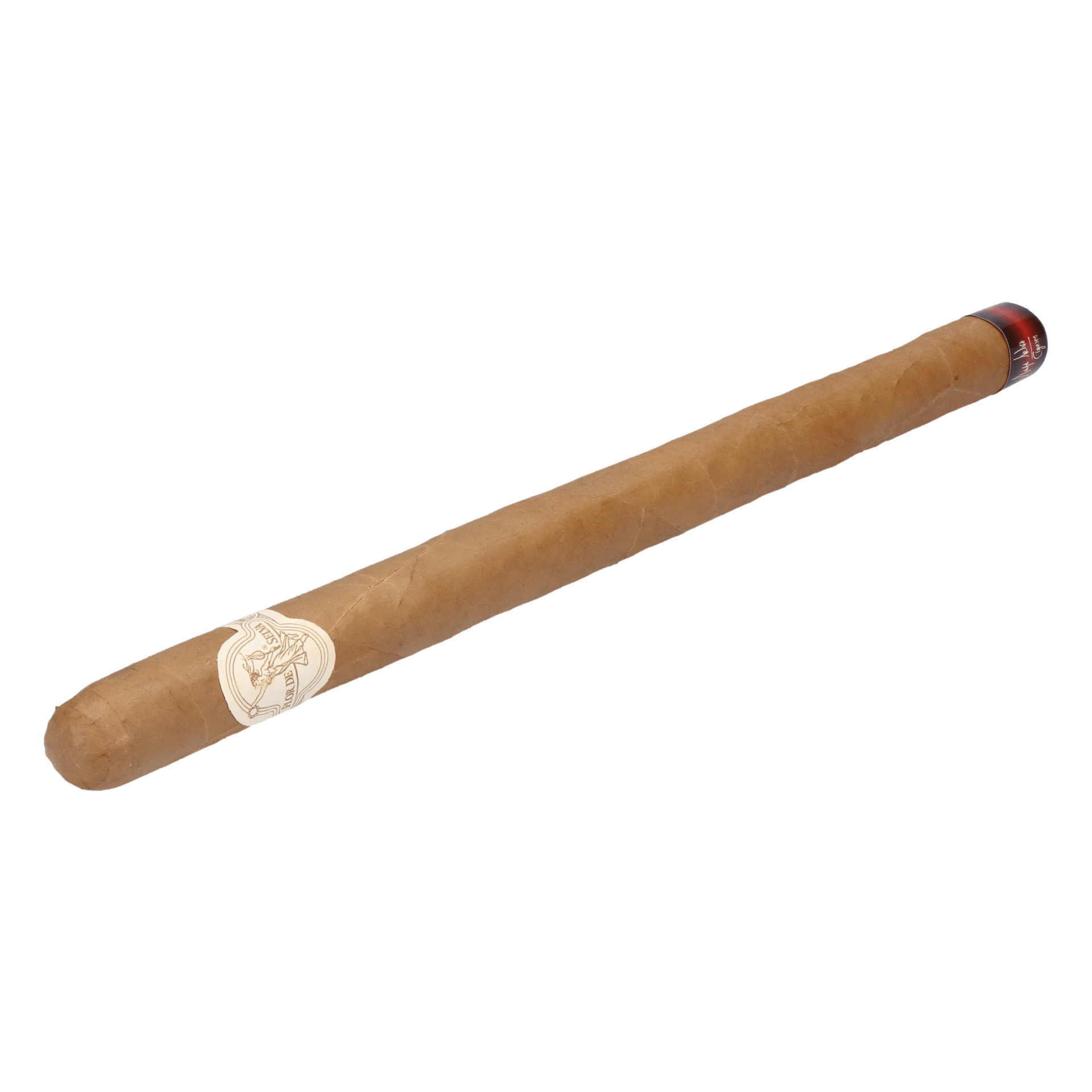 Flor de Selva Extremo – Bild 4