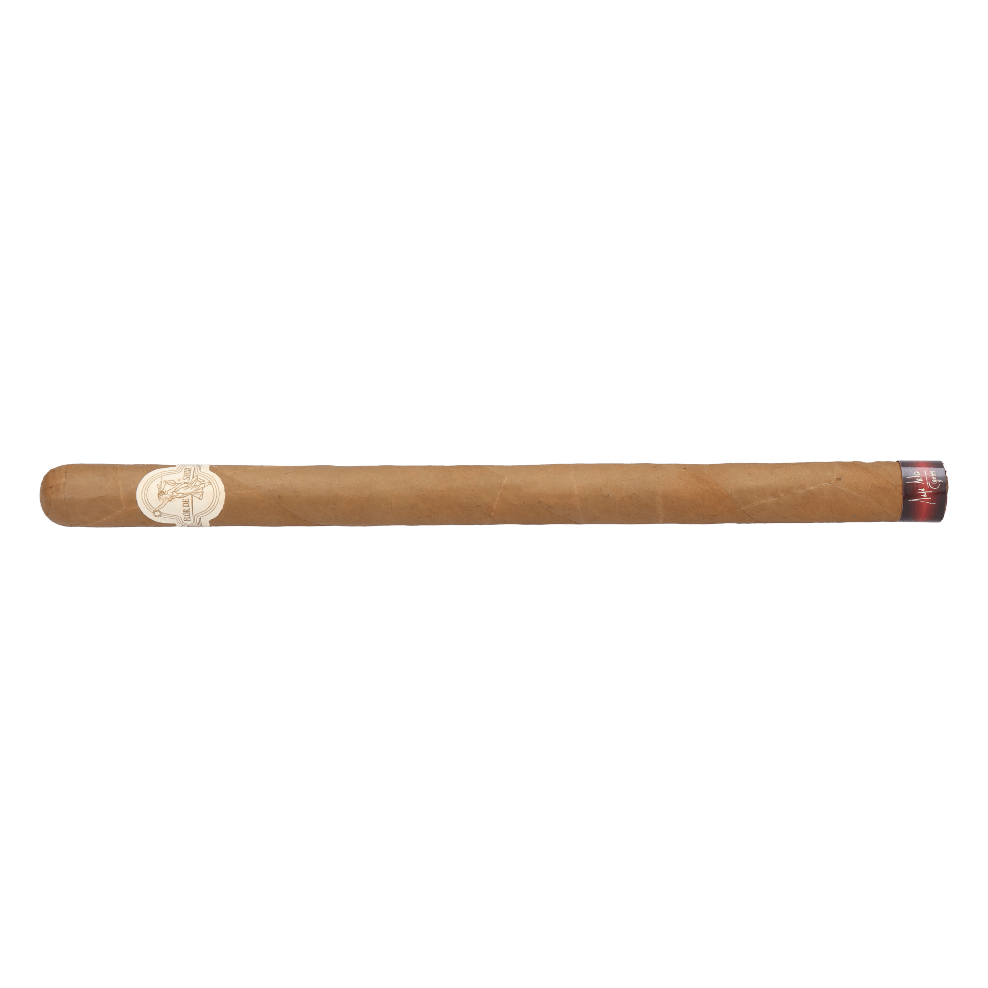 Flor de Selva Extremo – Bild 2