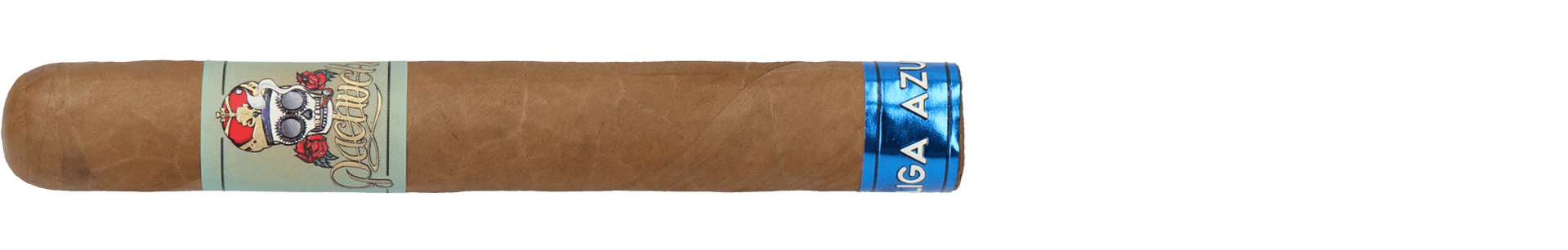 Pachuche Liga Azul Tronco