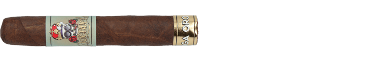 Pachuche Liga Oro Robusto