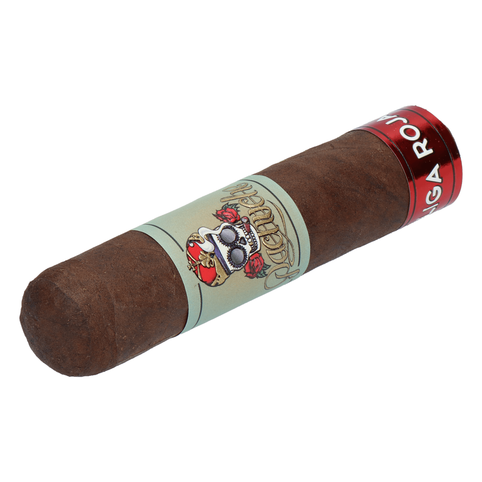 Pachuche Liga Roja Budusca Corta – Bild 3