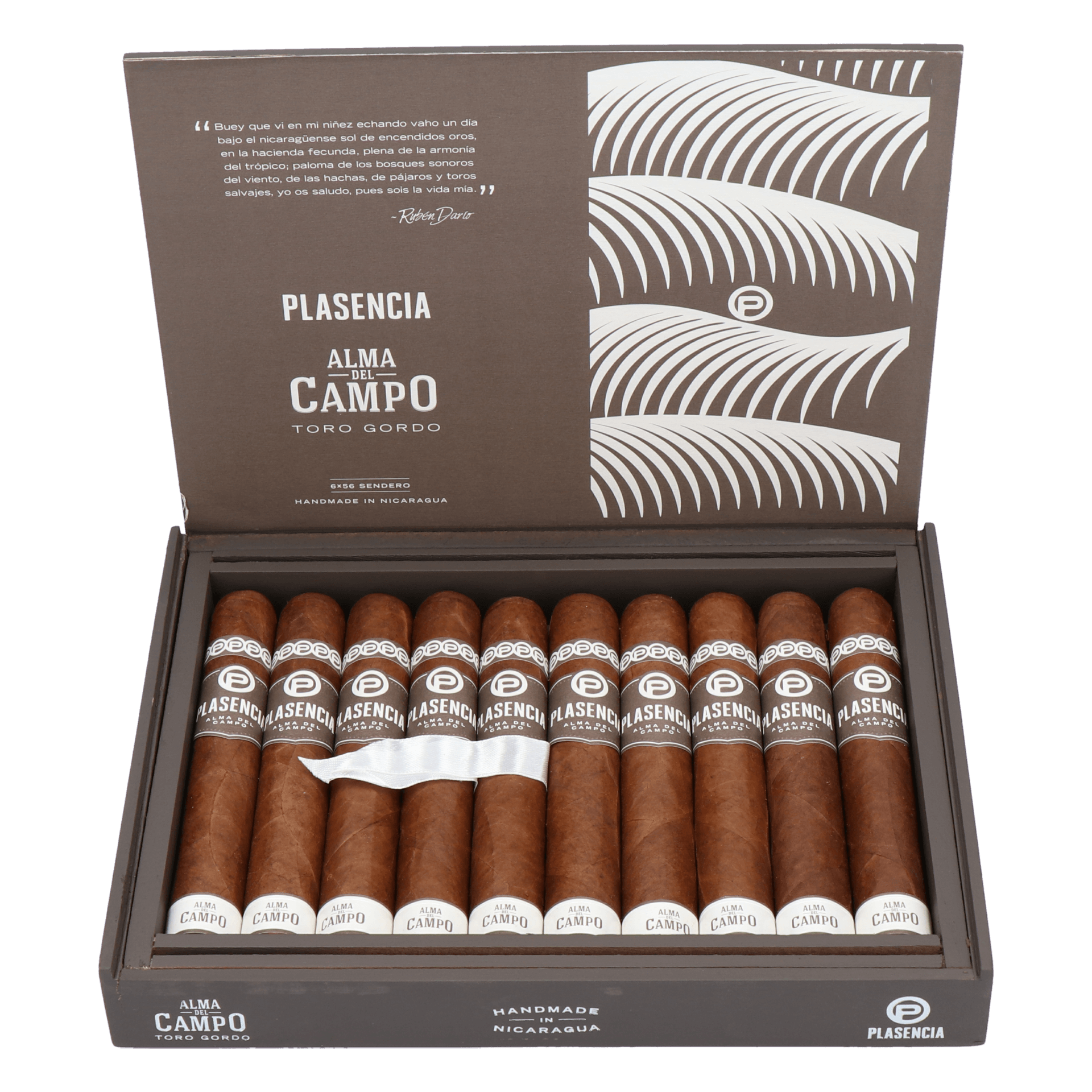 Plasencia Alma del Campo Sendero (Double Robusto) – Bild 2