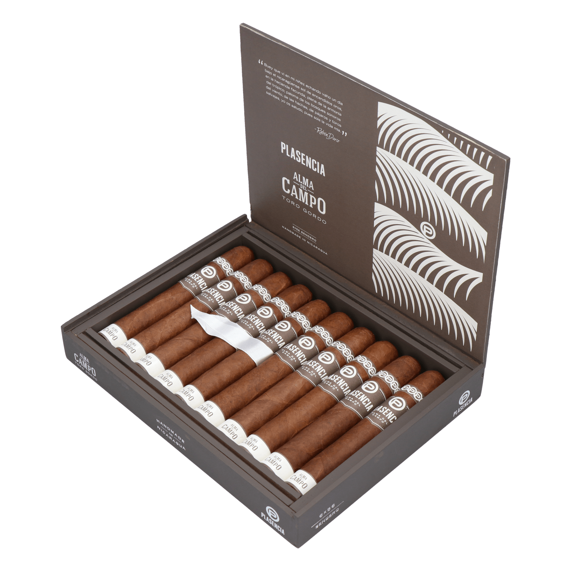 Plasencia Alma del Campo Sendero (Double Robusto) – Bild 3