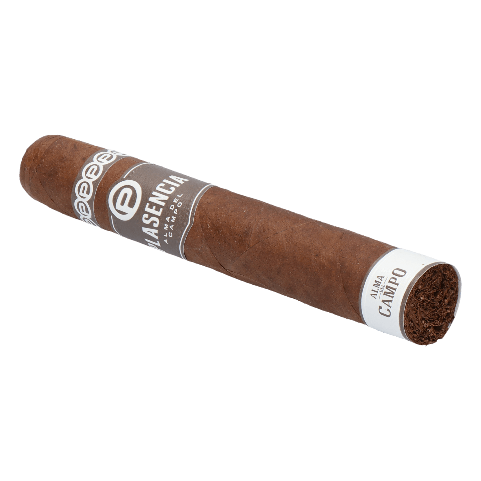 Plasencia Alma del Campo Sendero (Double Robusto) – Bild 5
