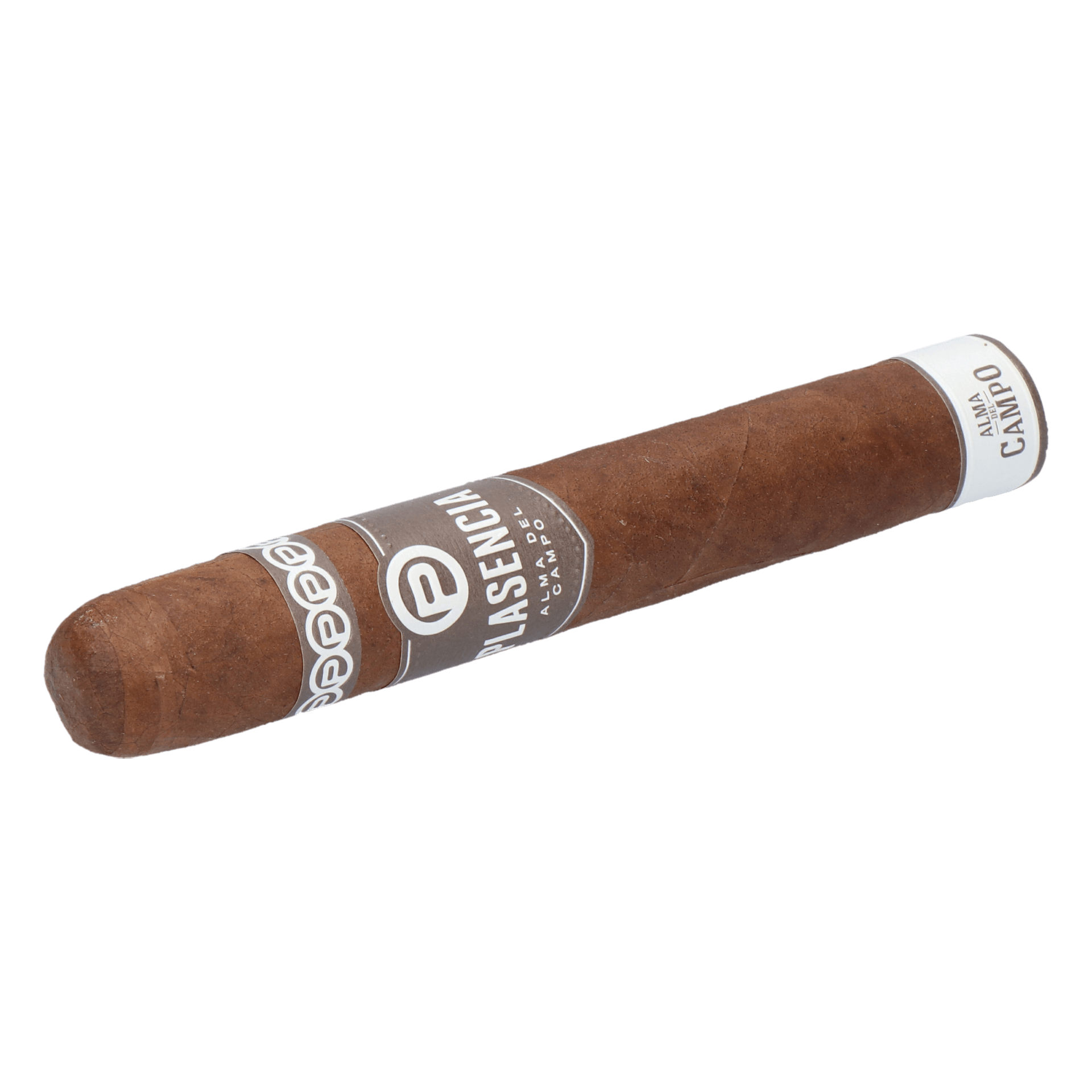 Plasencia Alma del Campo Sendero (Double Robusto) – Bild 6