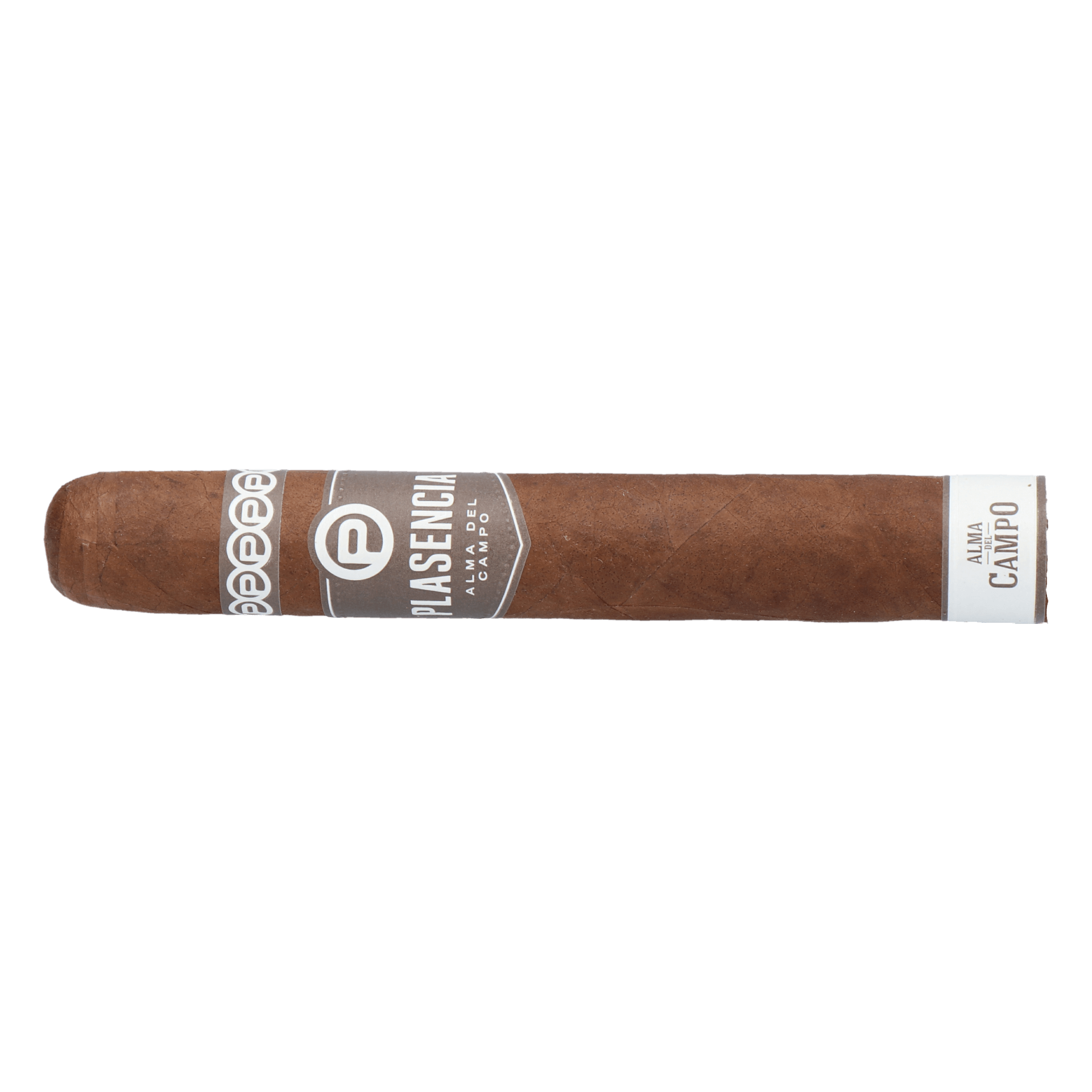 Plasencia Alma del Campo Sendero (Double Robusto) – Bild 7