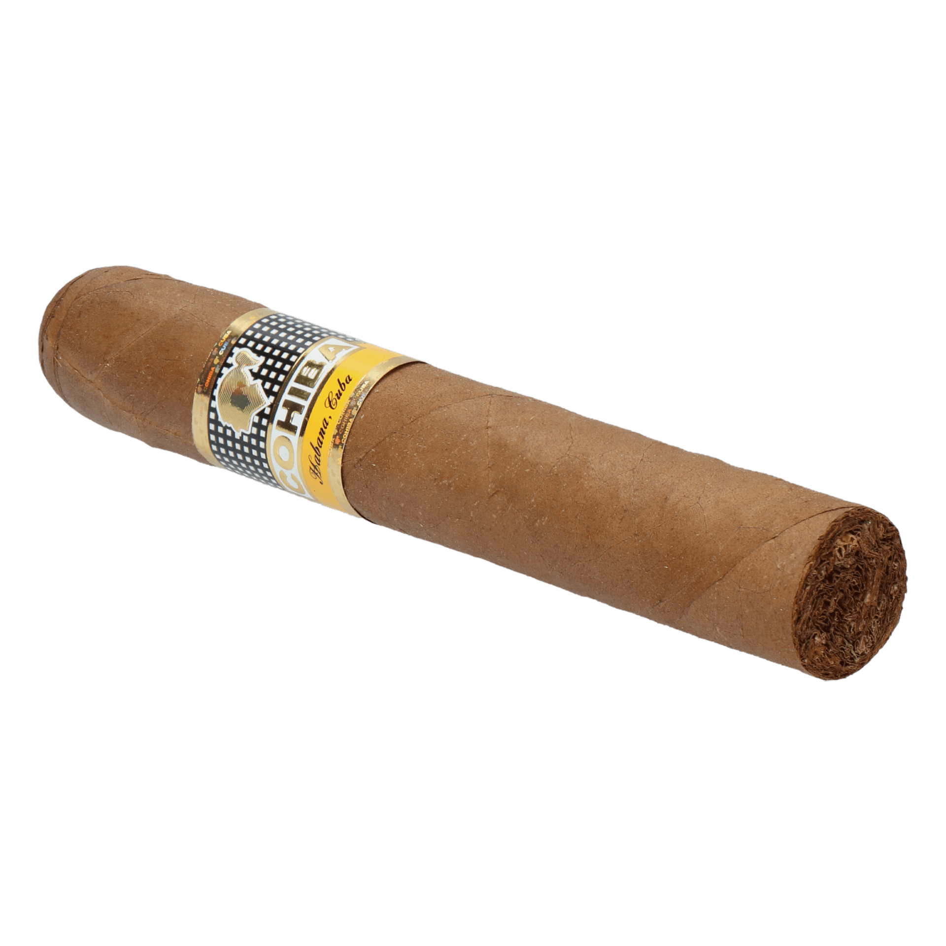 Cohiba Robustos Tubos – Bild 2