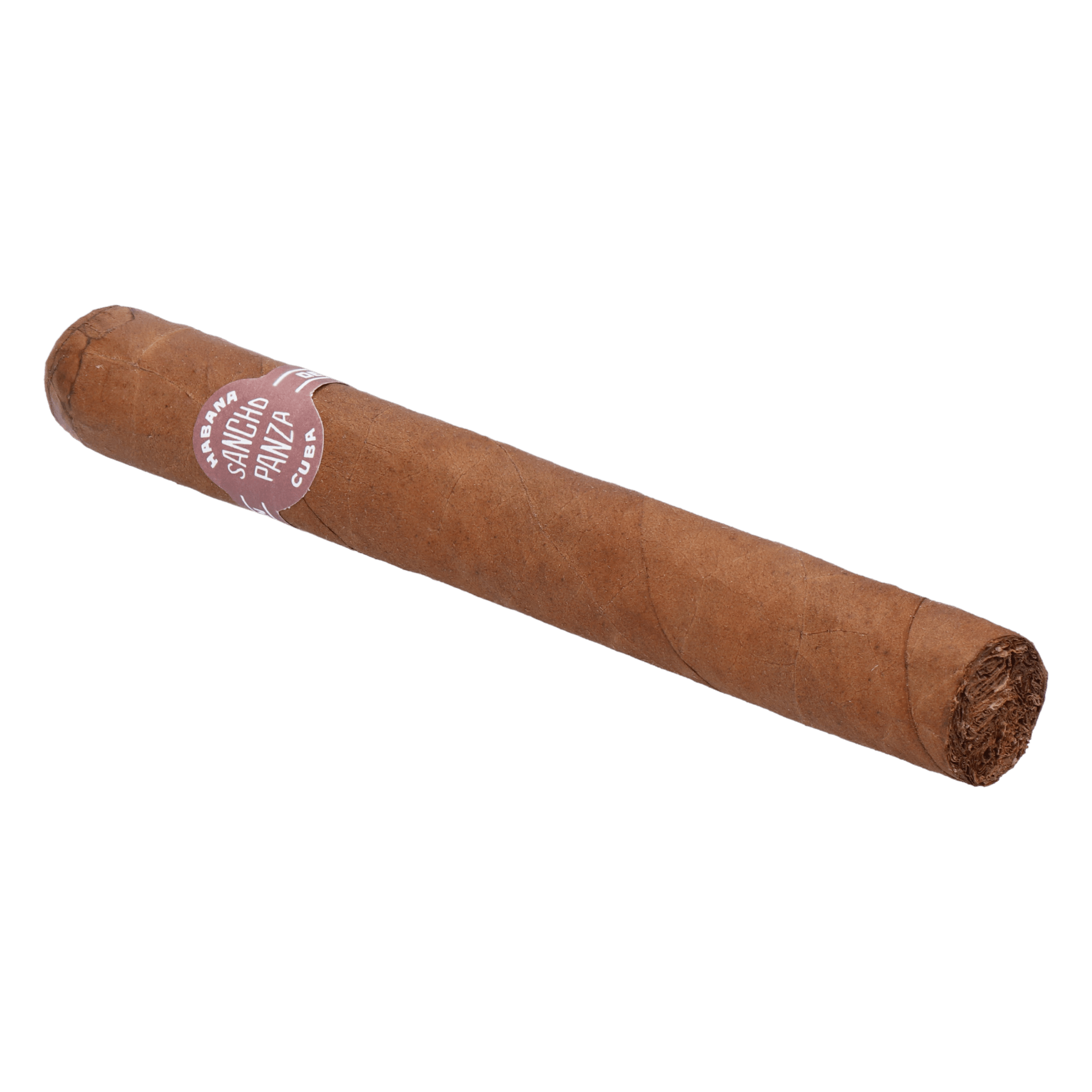 Sancho Panza Non Plus – Bild 3