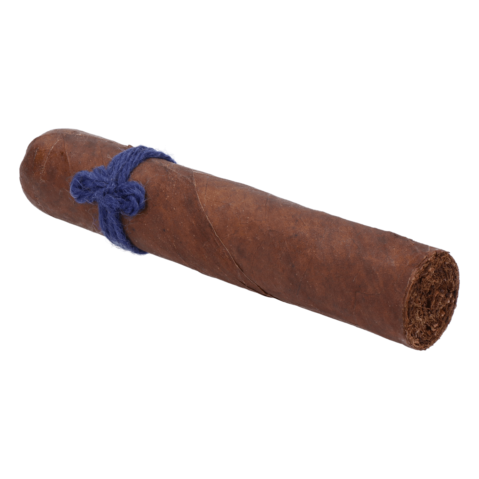 Furia Alecto (Blau) – Bild 3