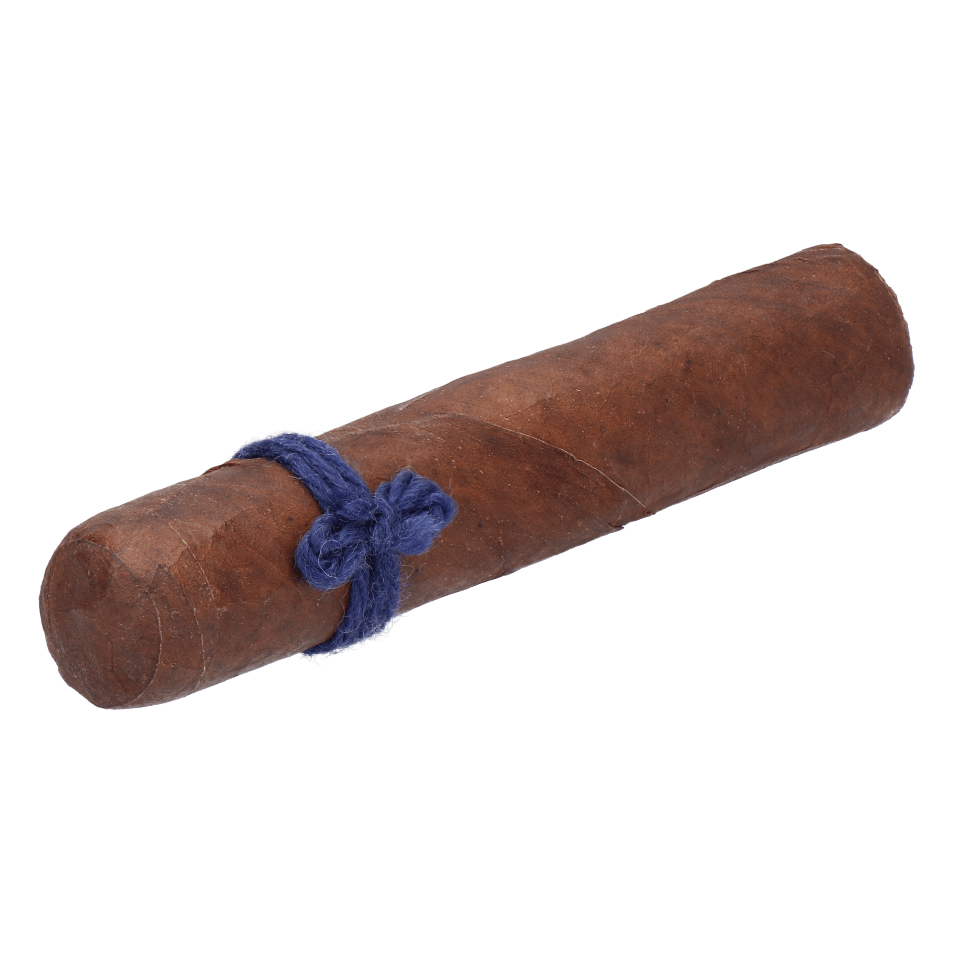Furia Alecto (Blau) – Bild 4
