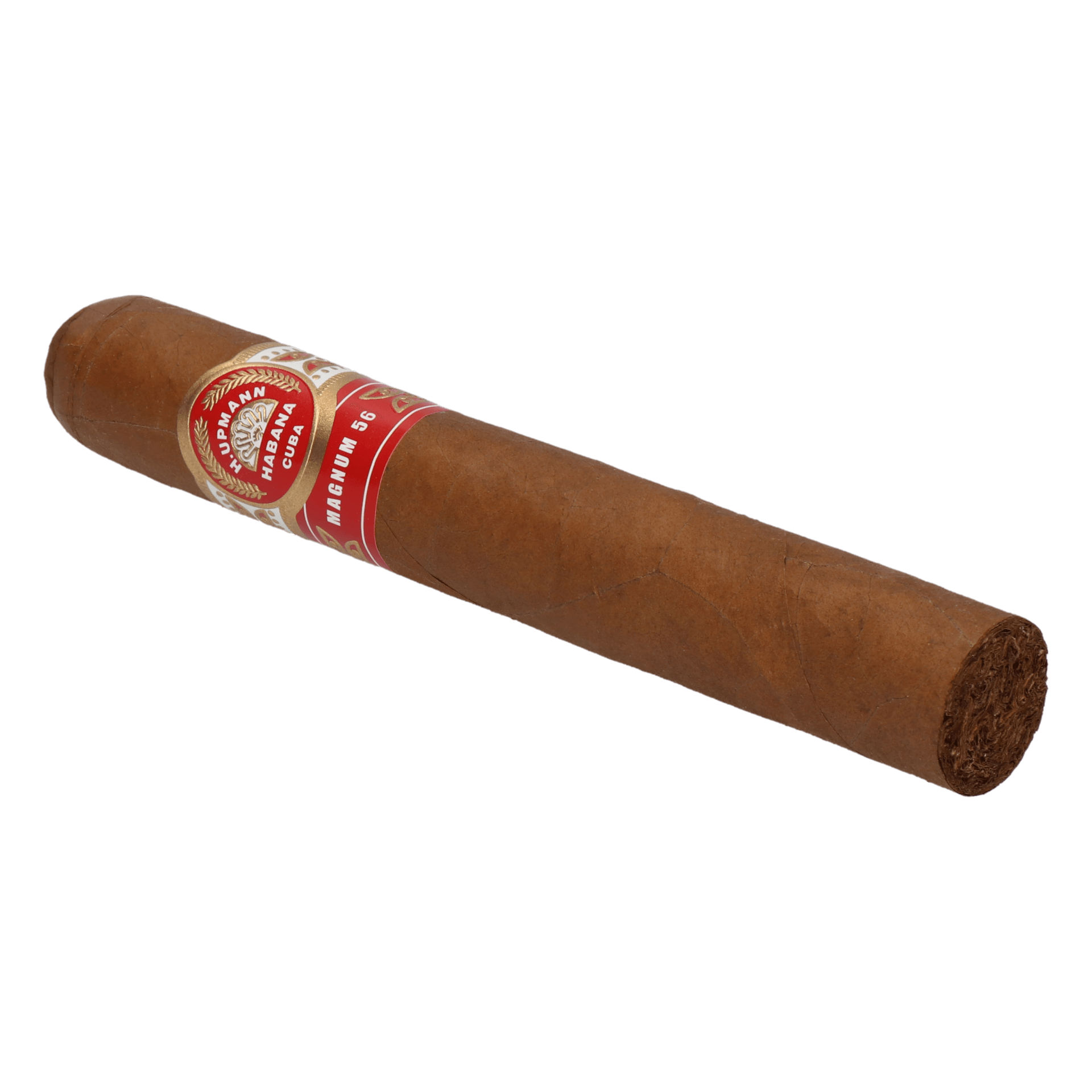H. Upmann Magnum 56 Jar – Bild 5