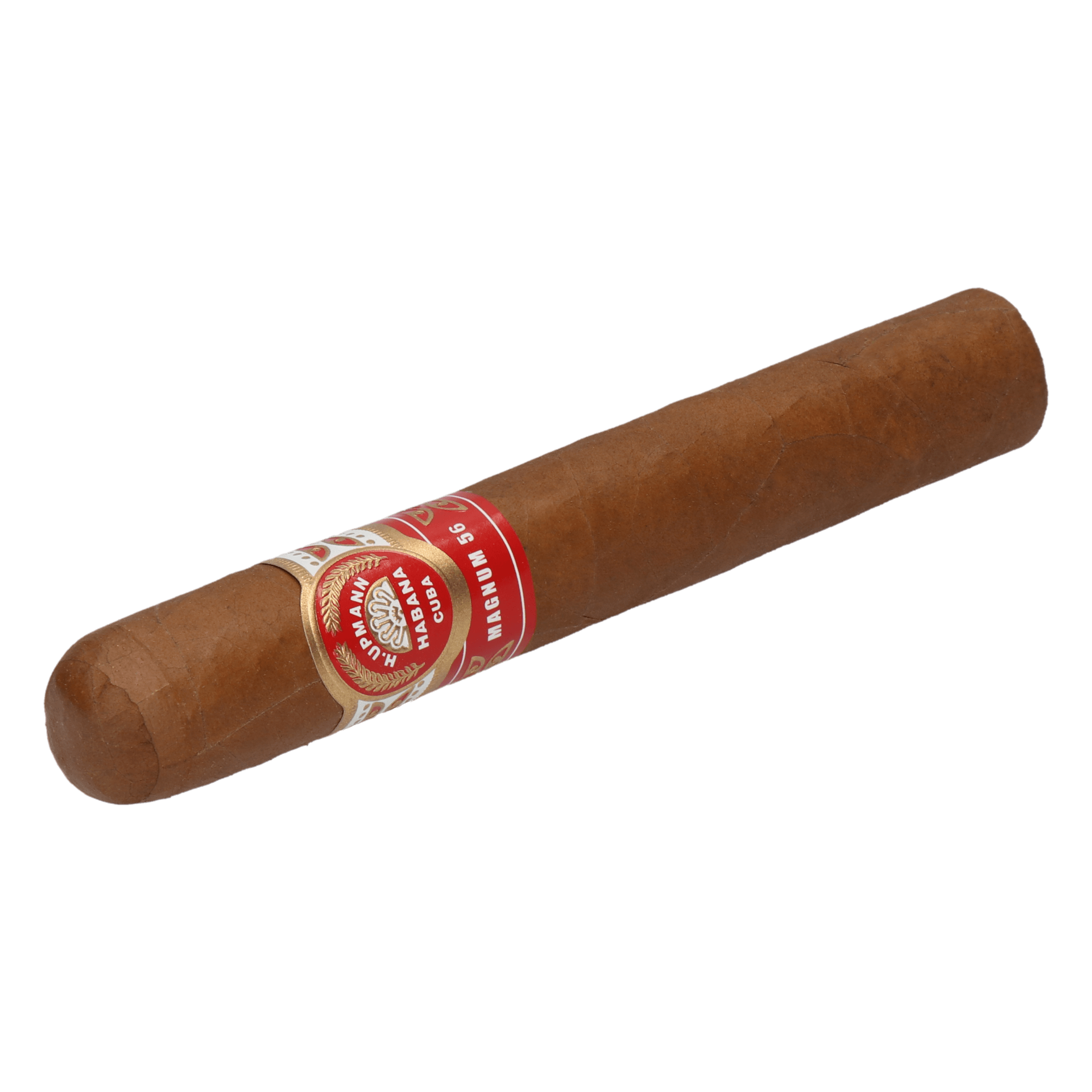 H. Upmann Magnum 56 Jar – Bild 6