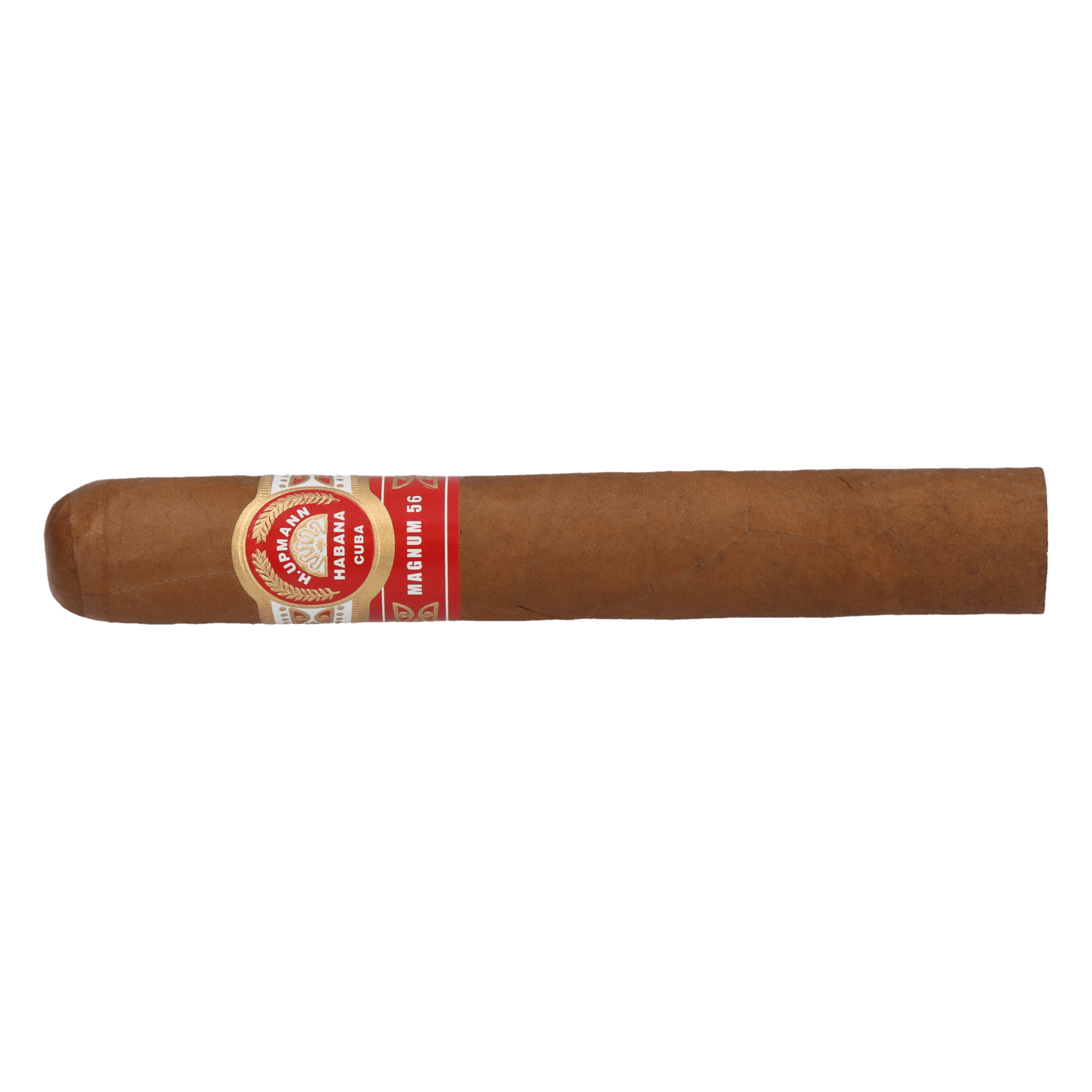 H. Upmann Magnum 56 Jar – Bild 4