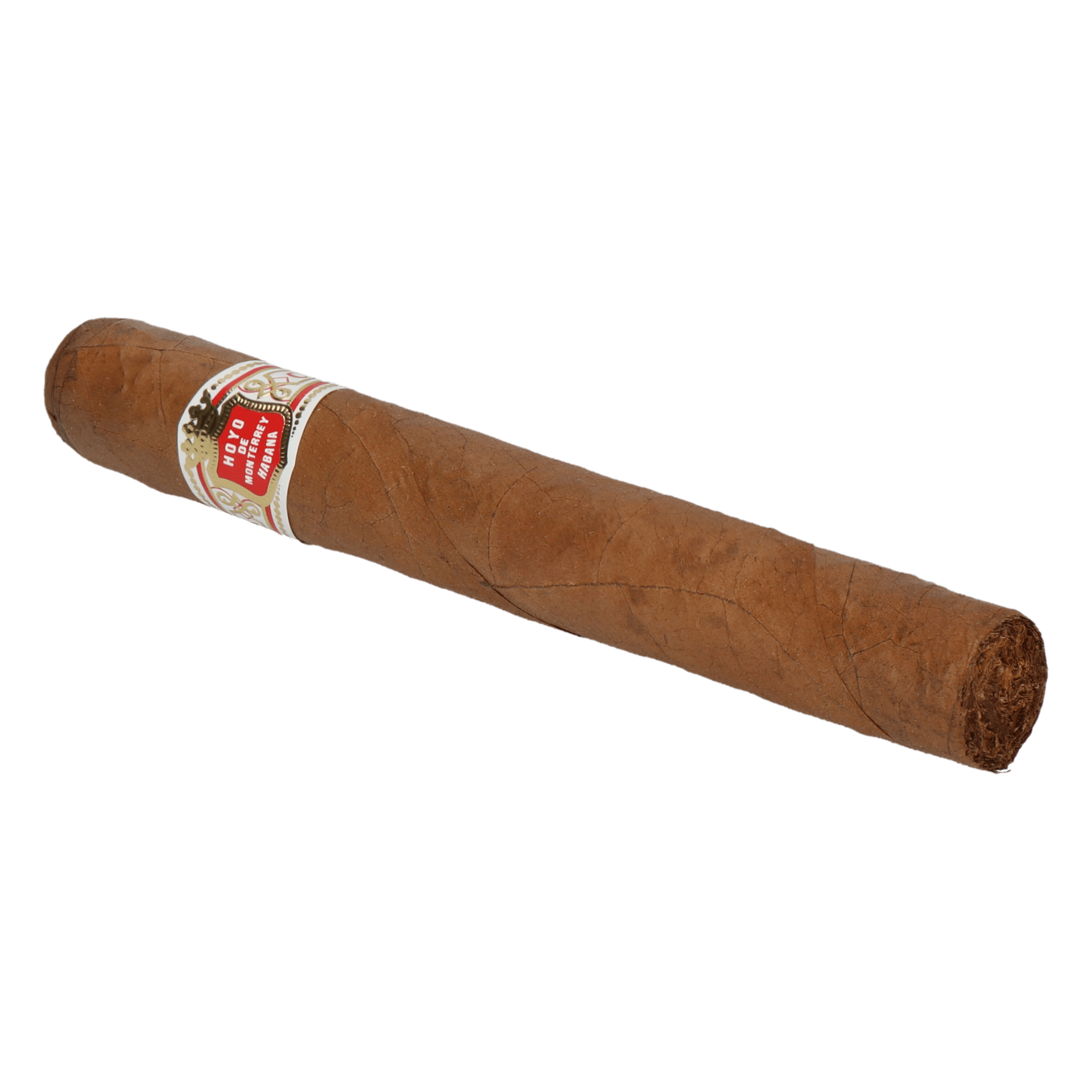 Hoyo de Monterrey Coronations Tubo – Bild 3