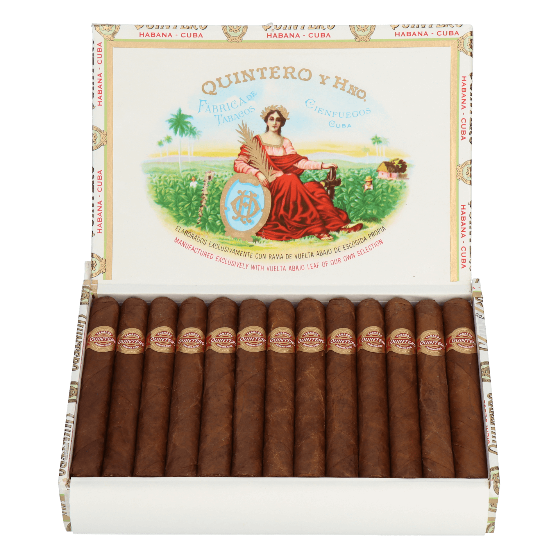 Quintero Londres Extra – Bild 6