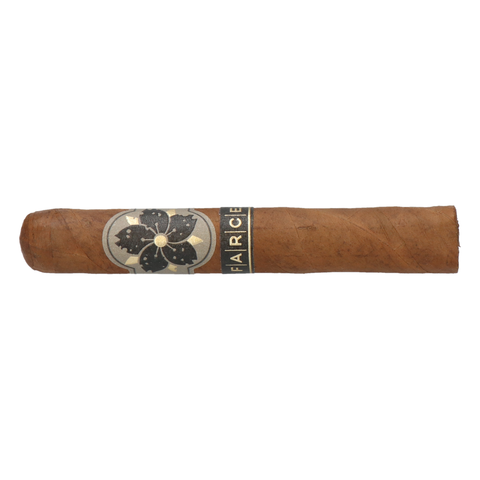 Room101 Farce Original Robusto – Bild 2