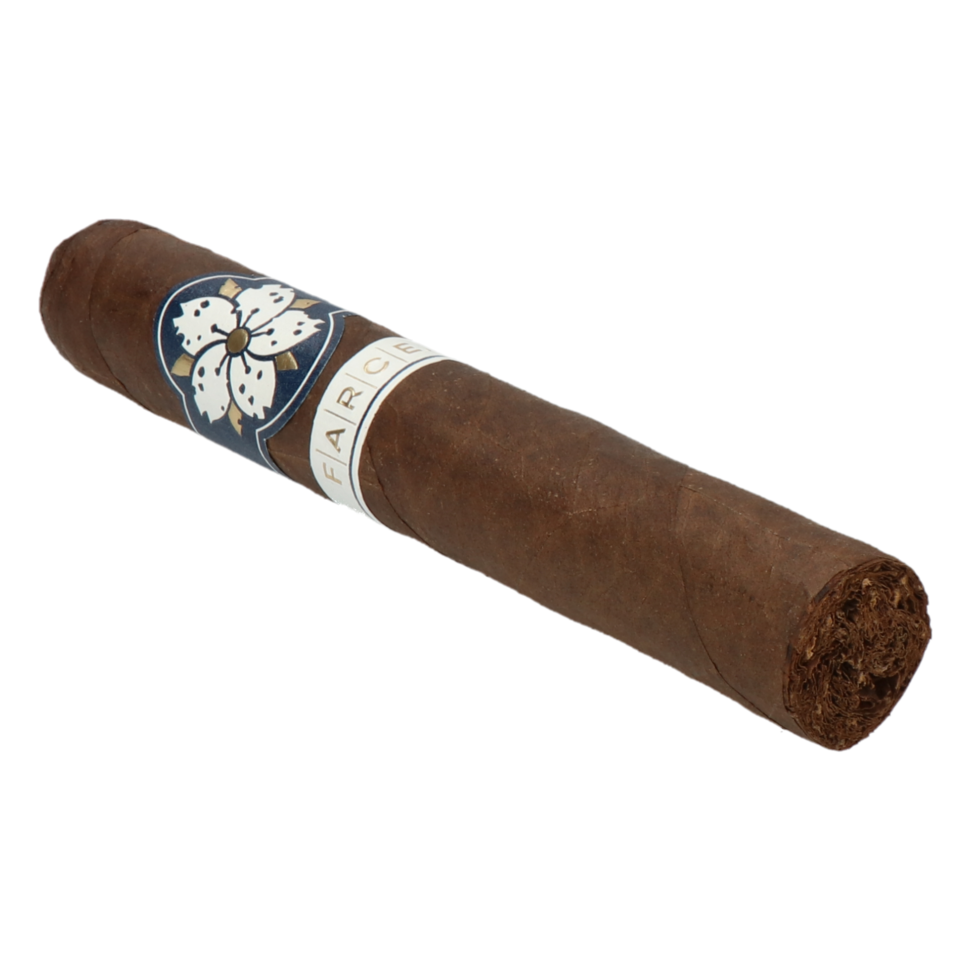 Room101 Farce Maduro Magnum – Bild 3