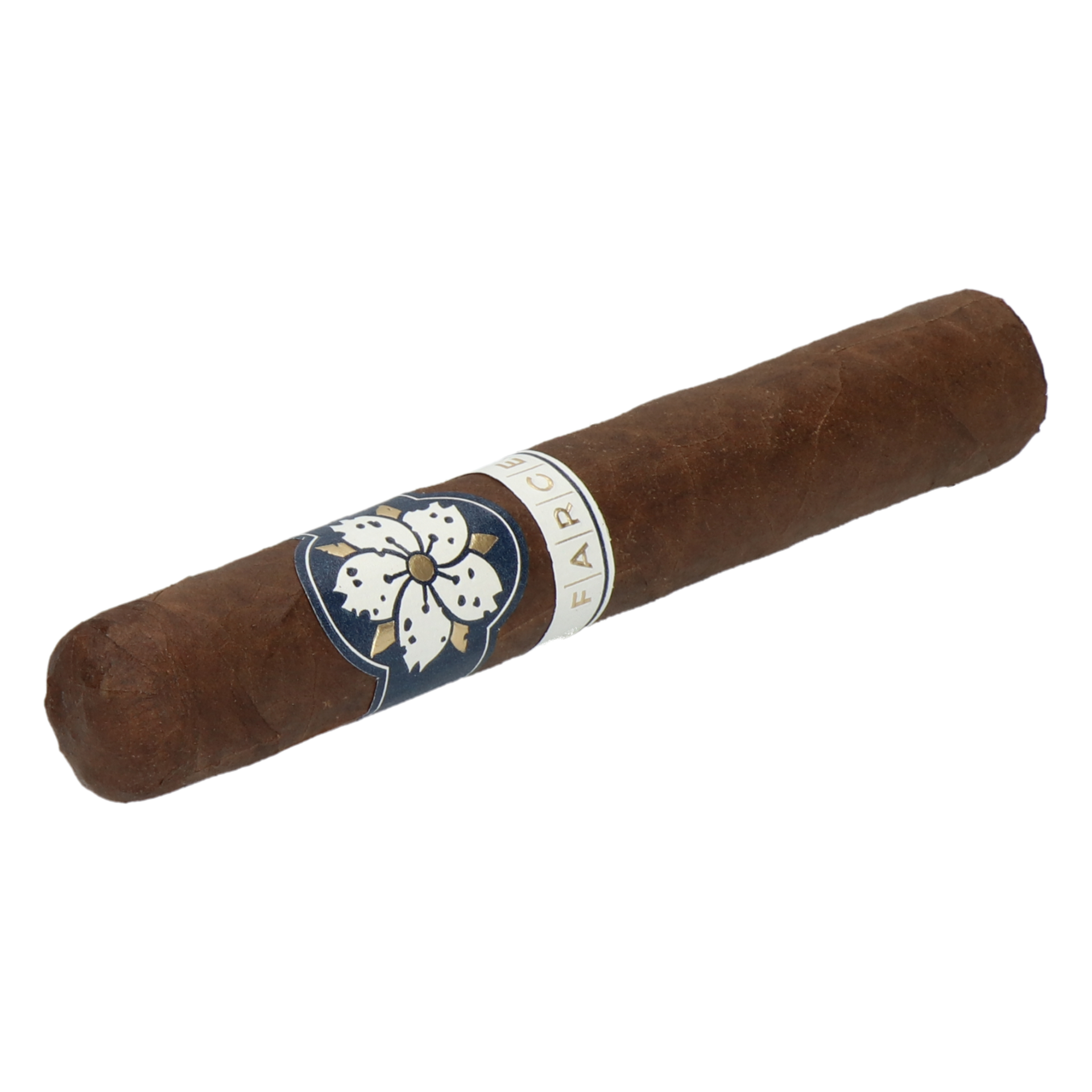 Room101 Farce Maduro Magnum – Bild 4