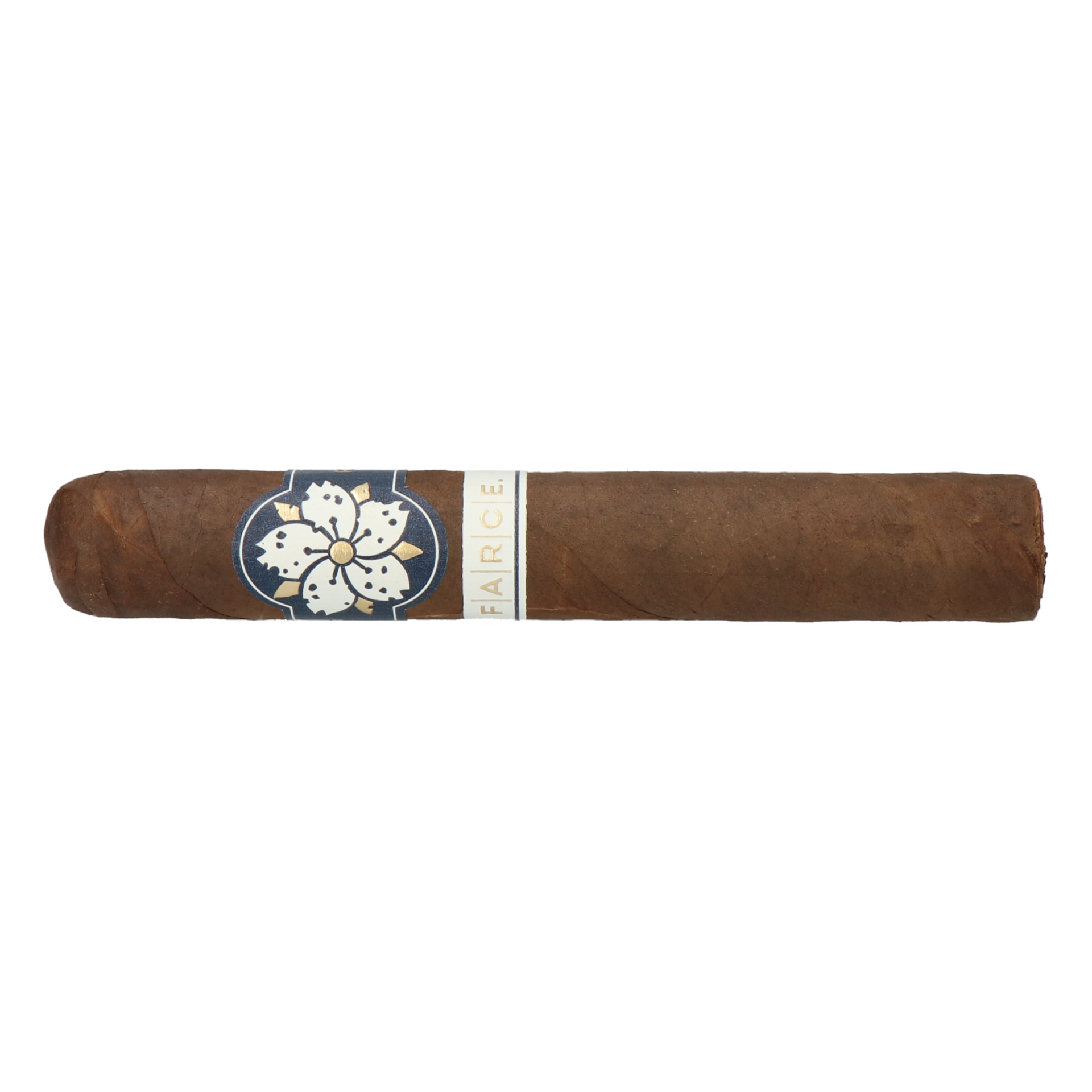 Room101 Farce Maduro Magnum – Bild 2