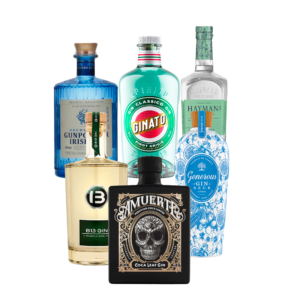 Gin