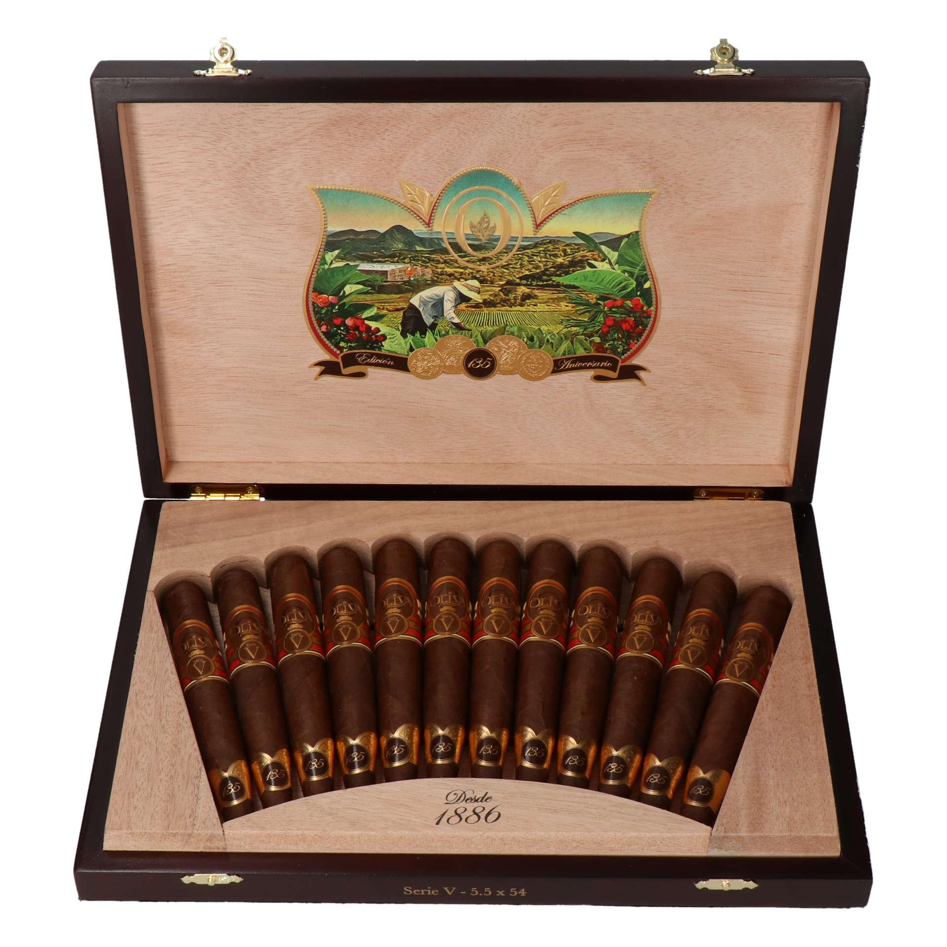 Oliva Serie V 135 Aniversario Edicion Real – Bild 5
