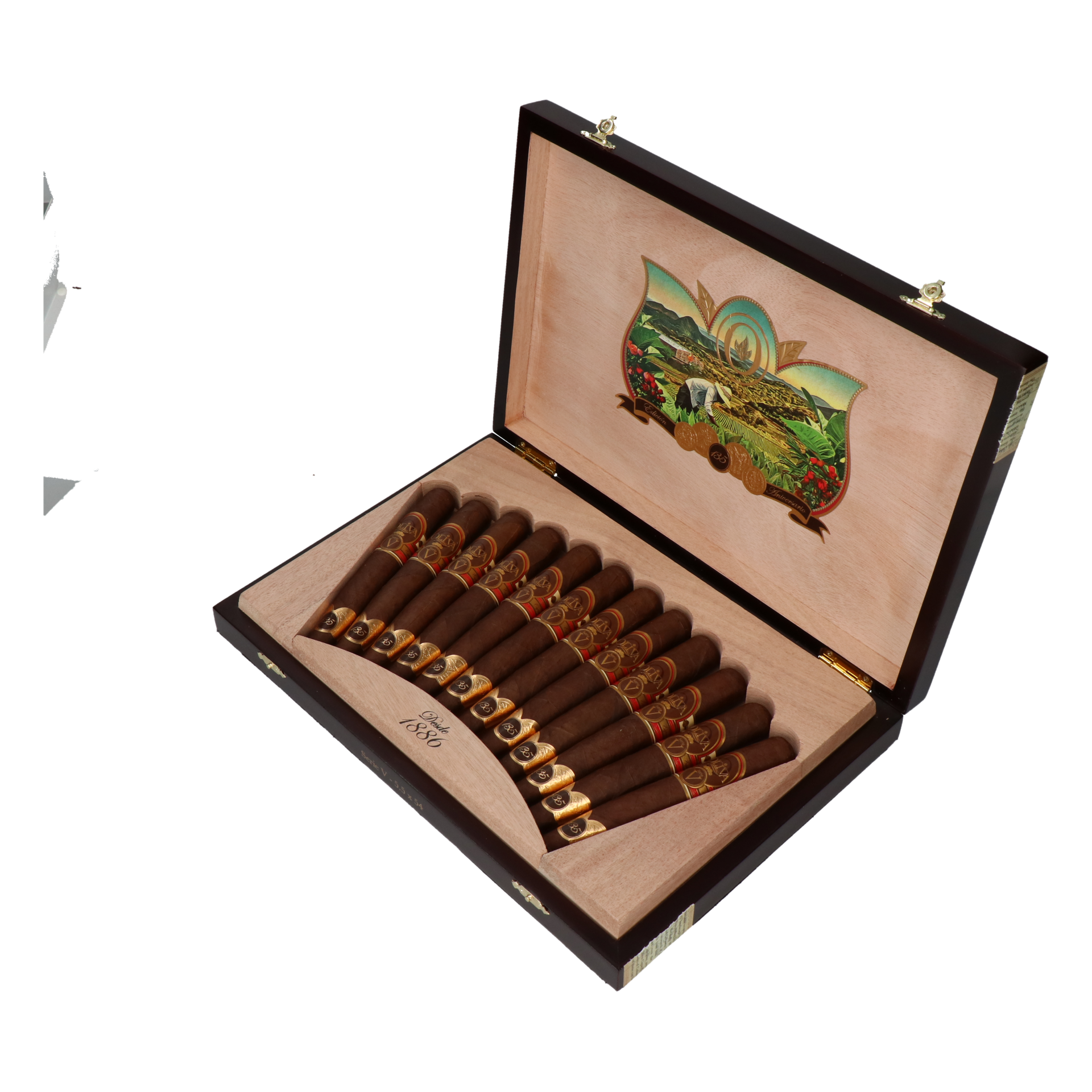 Oliva Serie V 135 Aniversario Edicion Real – Bild 6