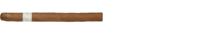 Davidoff Signature Ambassadrice