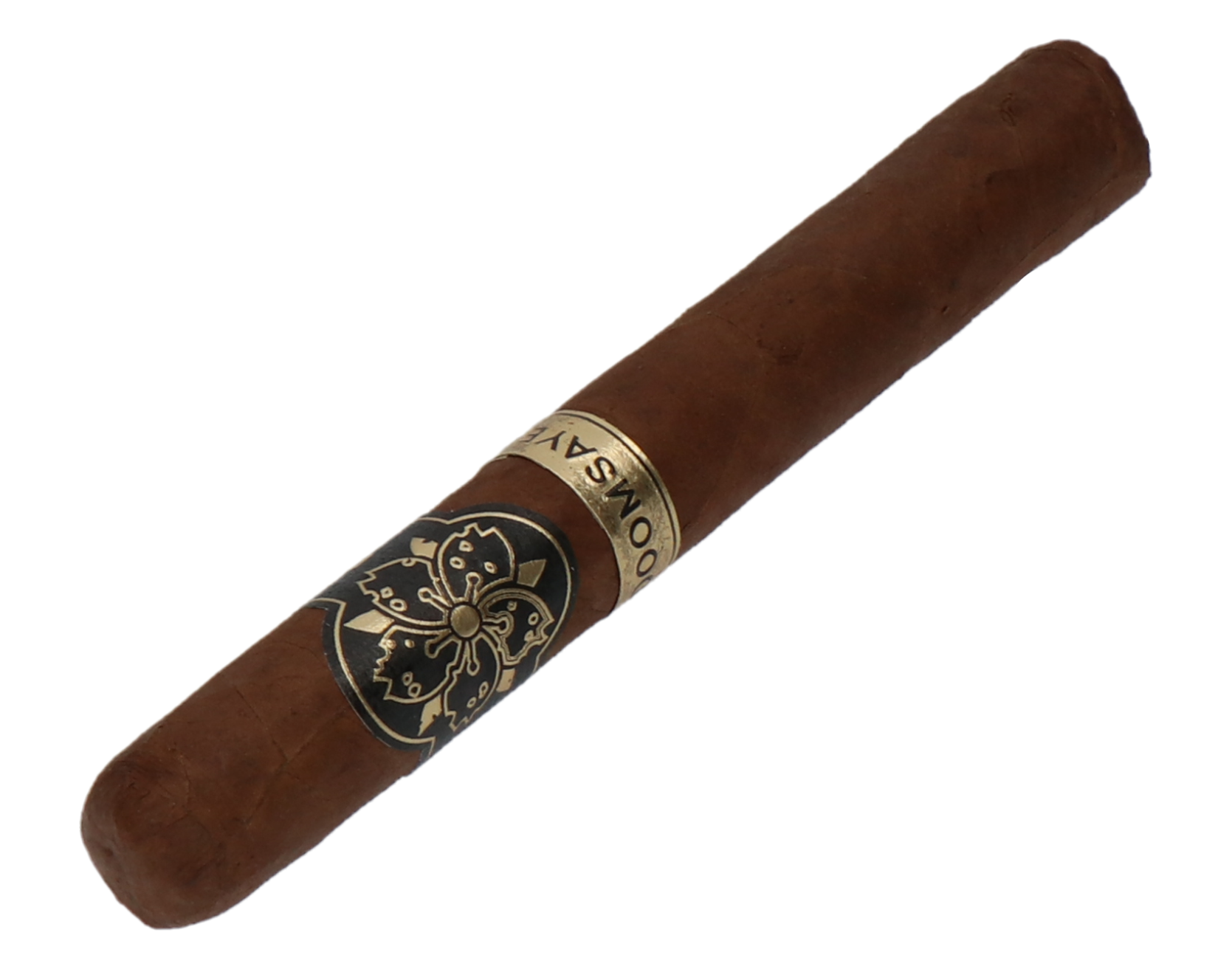 Room101 Doomsayer Aggressive Super Toro – Bild 3