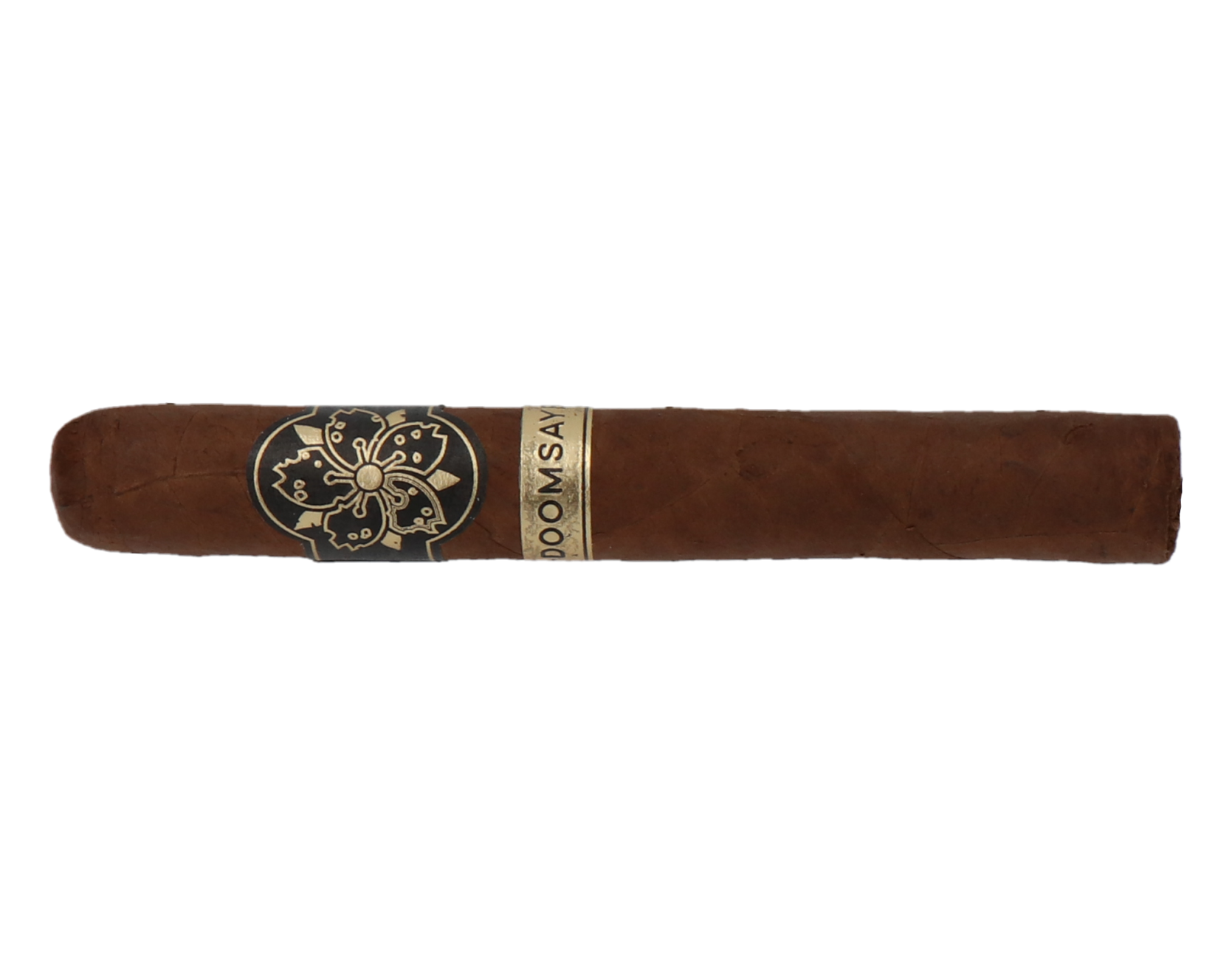 Room101 Doomsayer Aggressive Super Toro – Bild 2