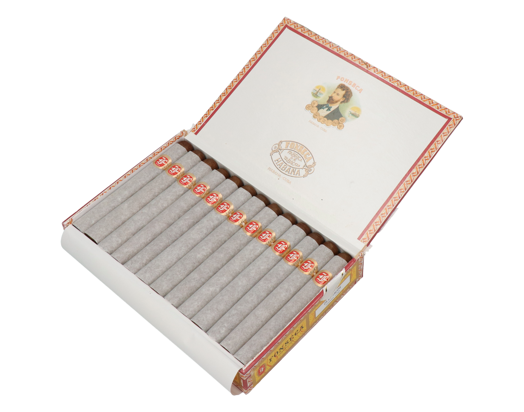 Fonseca Cosacos – Bild 7