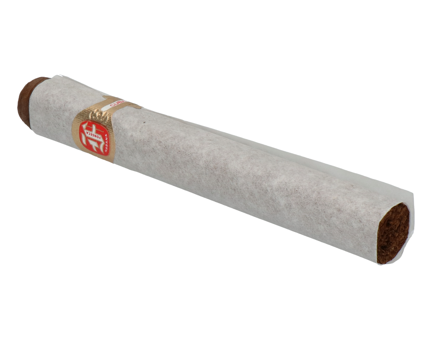 Fonseca Cosacos – Bild 3