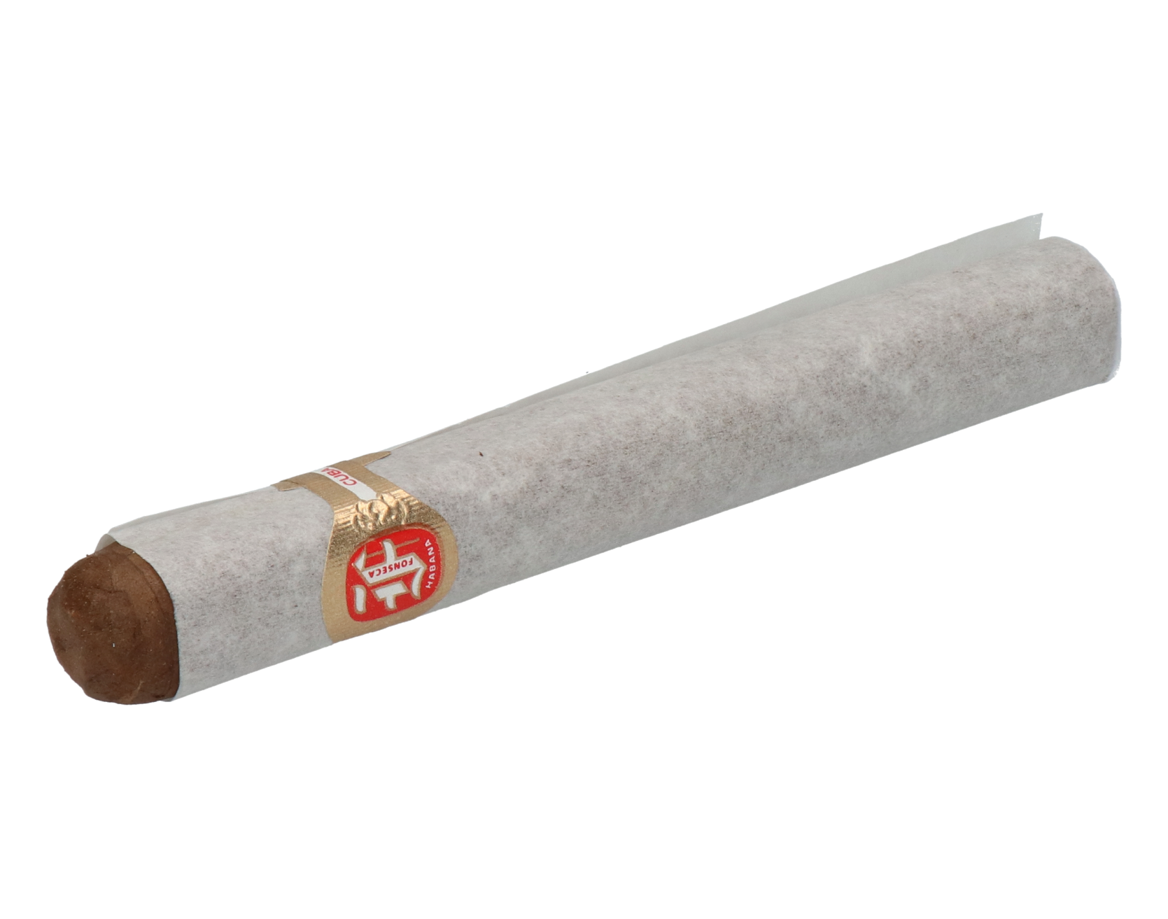 Fonseca Cosacos – Bild 4