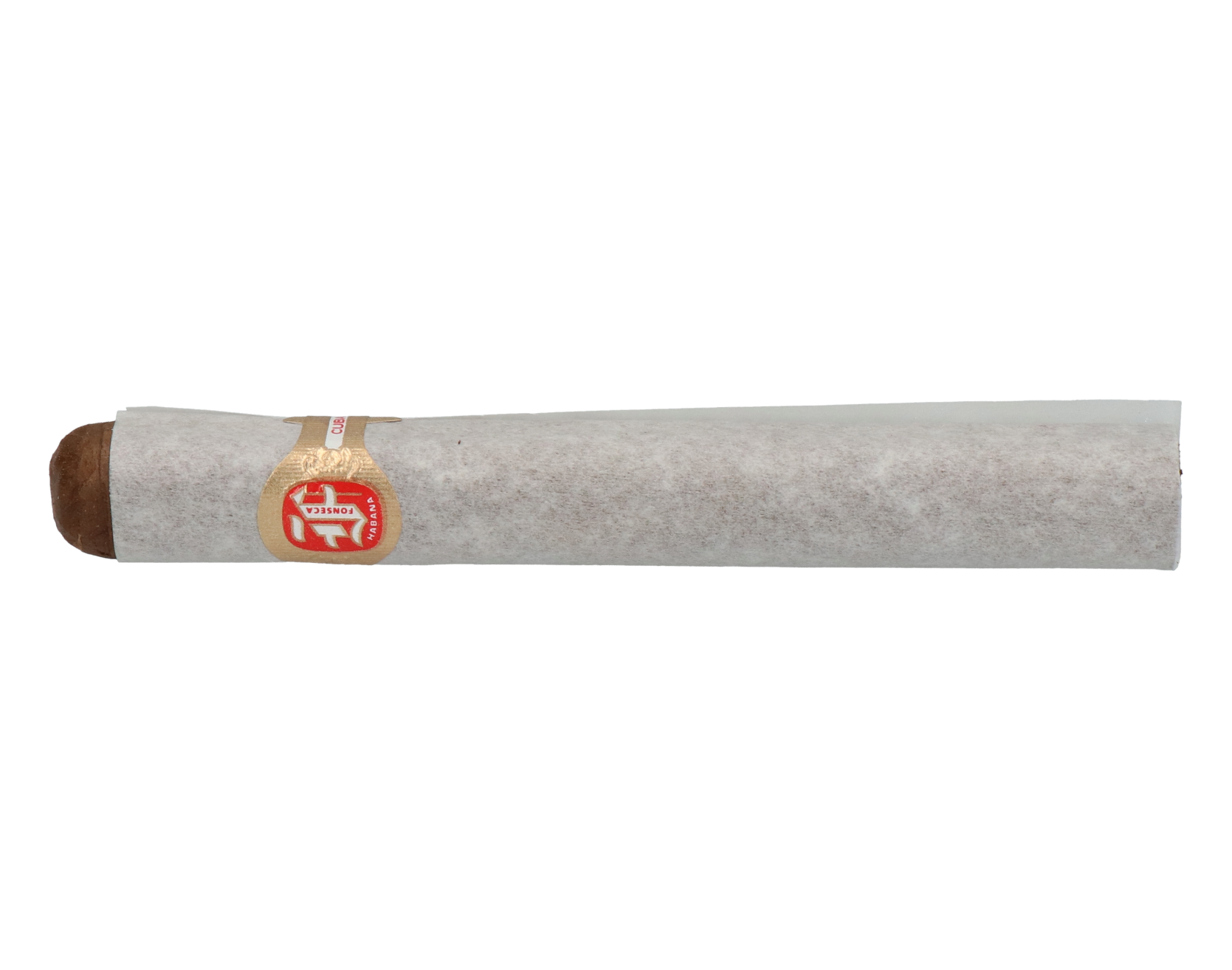 Fonseca Cosacos – Bild 2