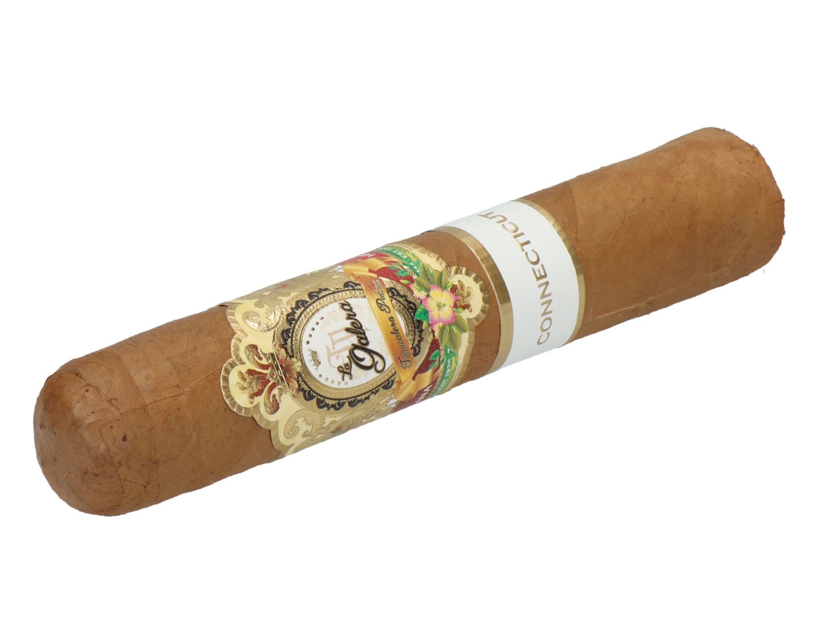 La Galera Connecticut Pilon - Short Gordo – Bild 6