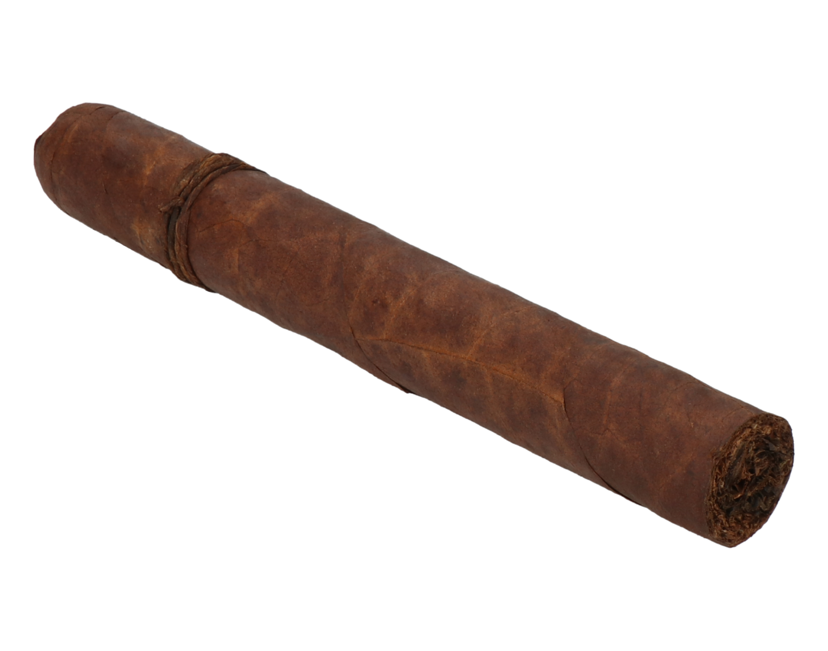 CAO Amazon Basin Toro – Bild 7