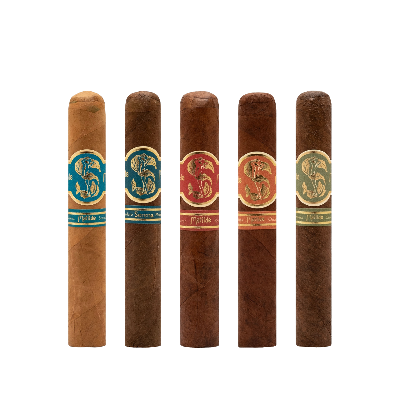 Matilde To-Go Sampler Robusto – Bild 2
