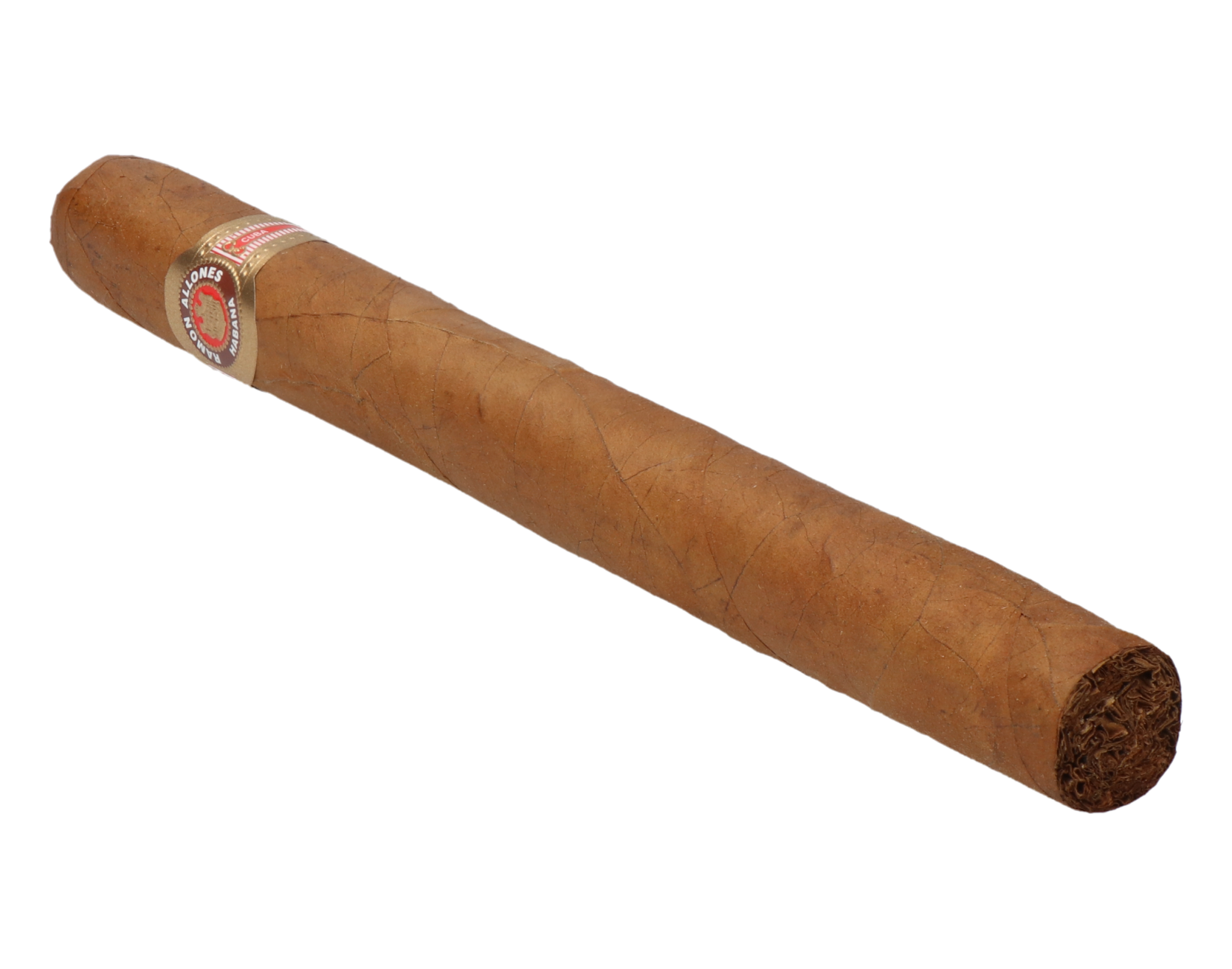 Ramon Allones Gigantes – Bild 6