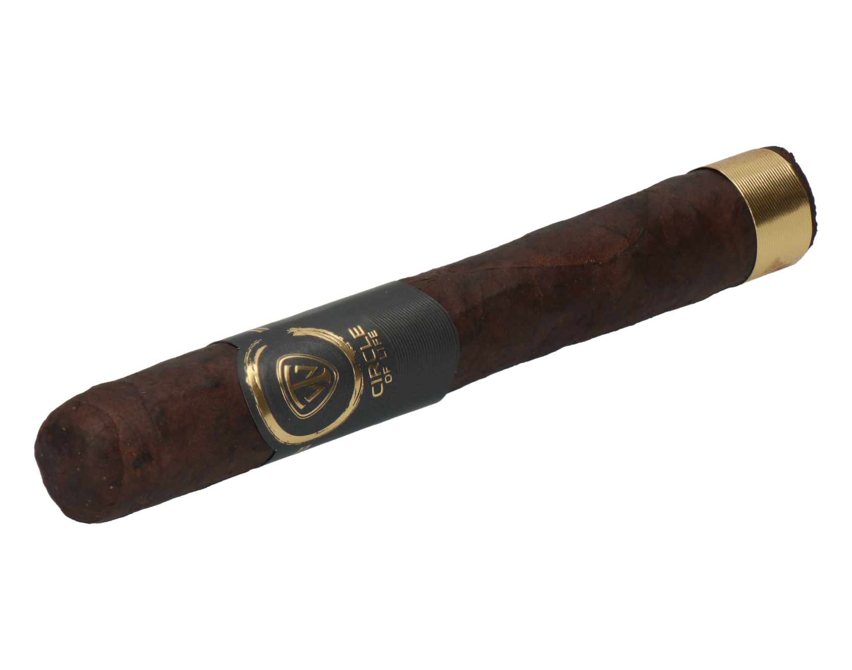 West Tampa Circle of Life Toro – Bild 6