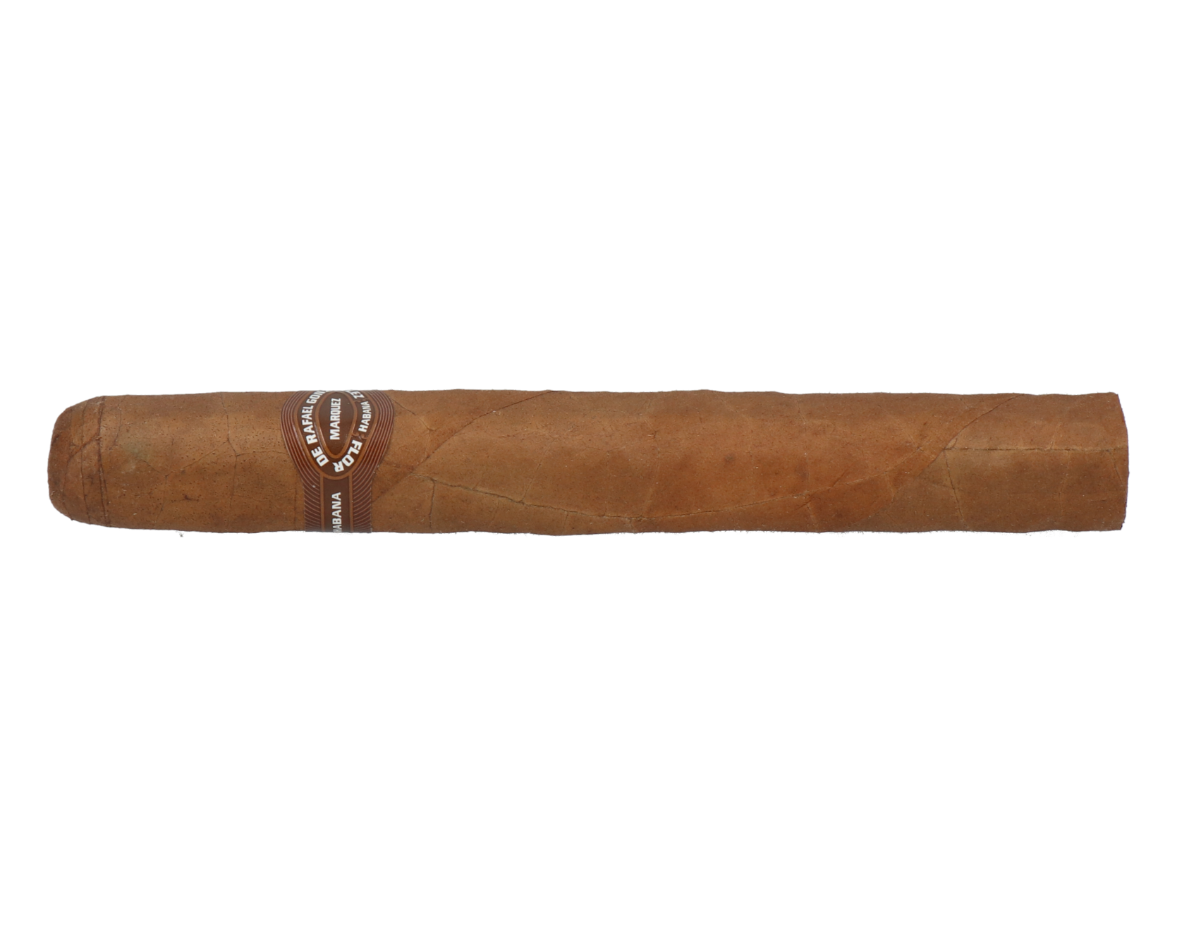 Rafael Gonzalez Petit Coronas – Bild 5