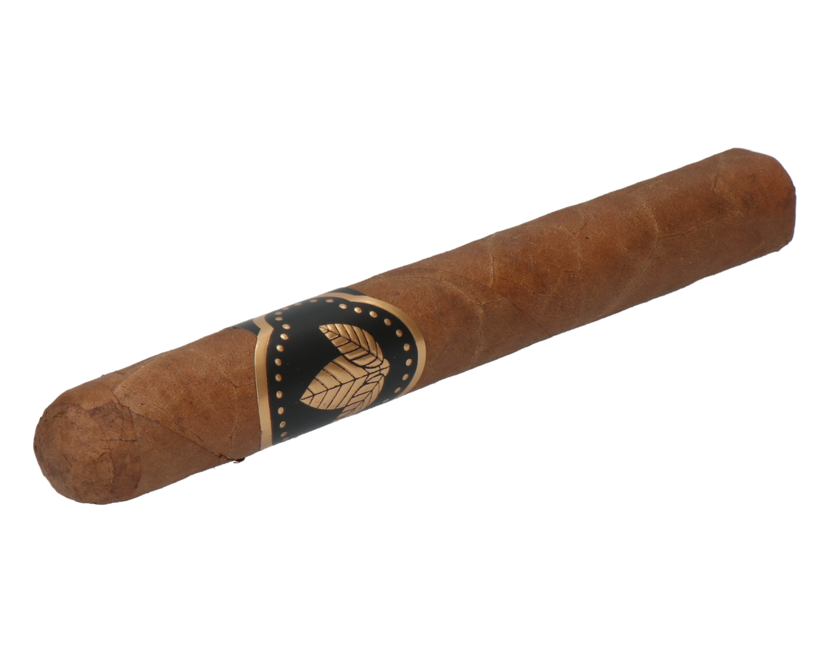 Confidenciaal Corona – Bild 5