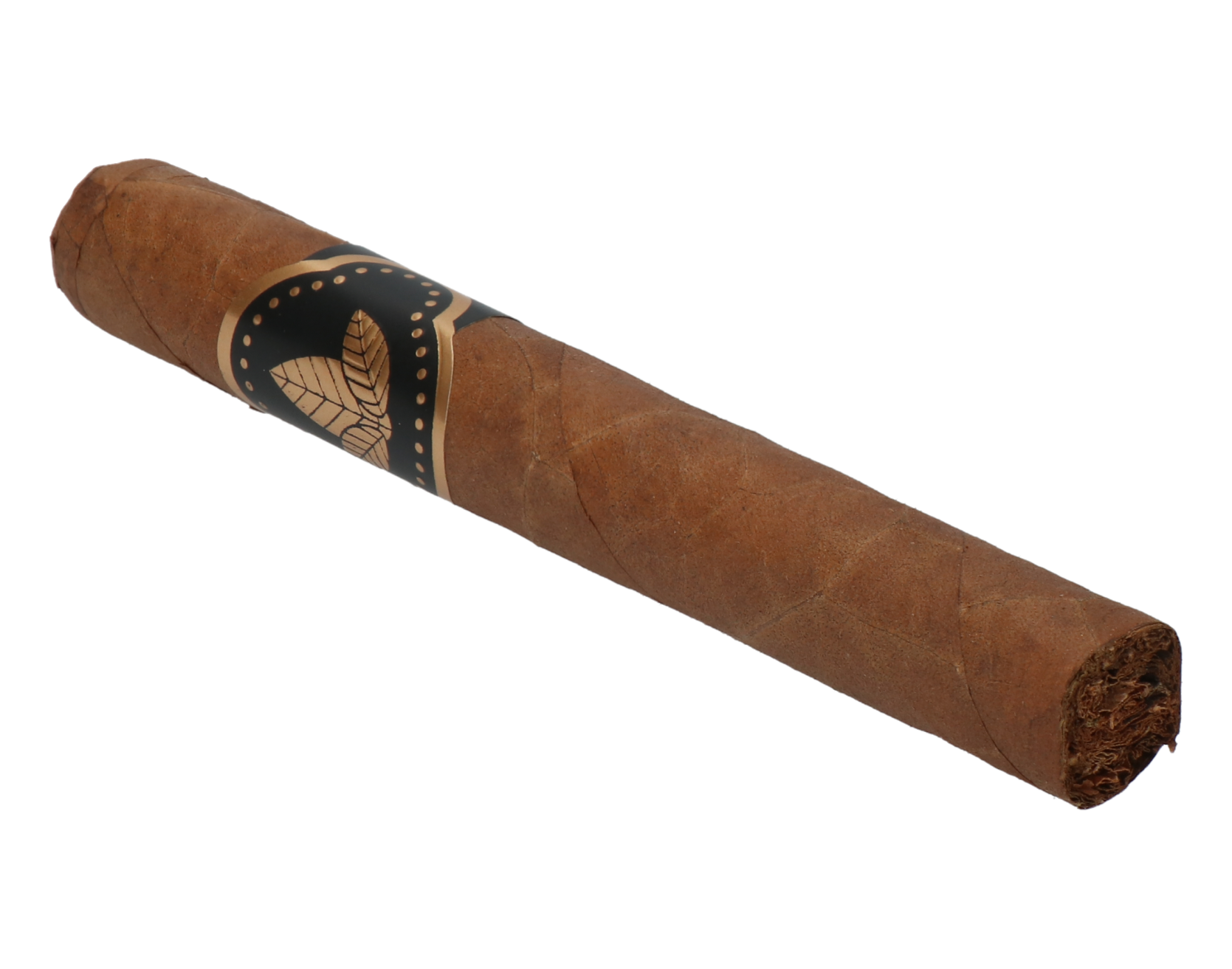 Confidenciaal Corona – Bild 6