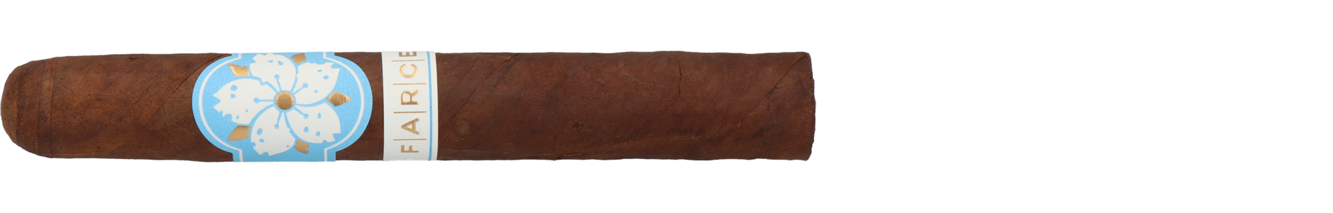 Room101 Farce Nicaragua Toro