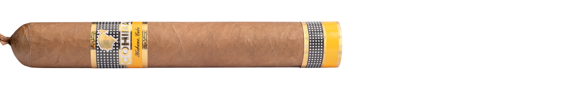 Cohiba Vistosos Travel Humidor (10) – Bild 7